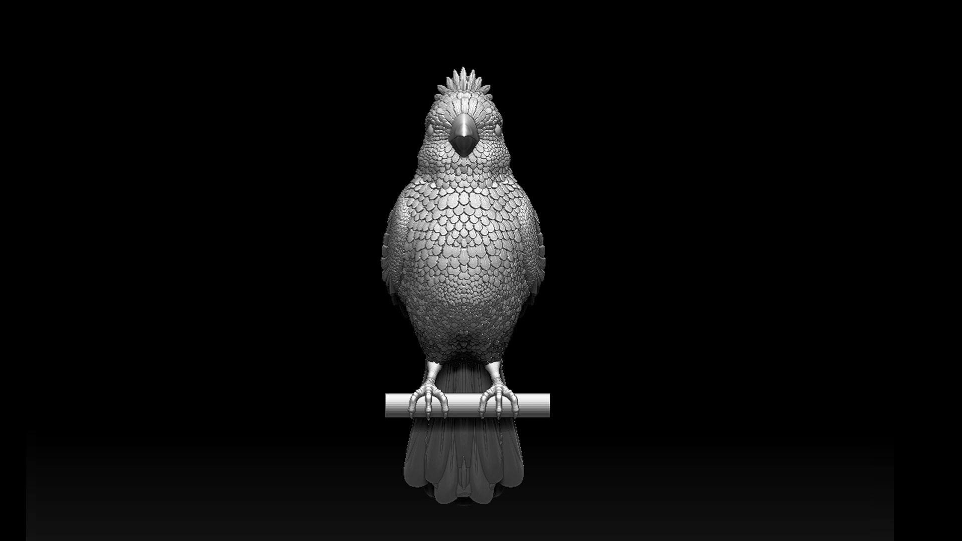 red cardinal — miniatura 9