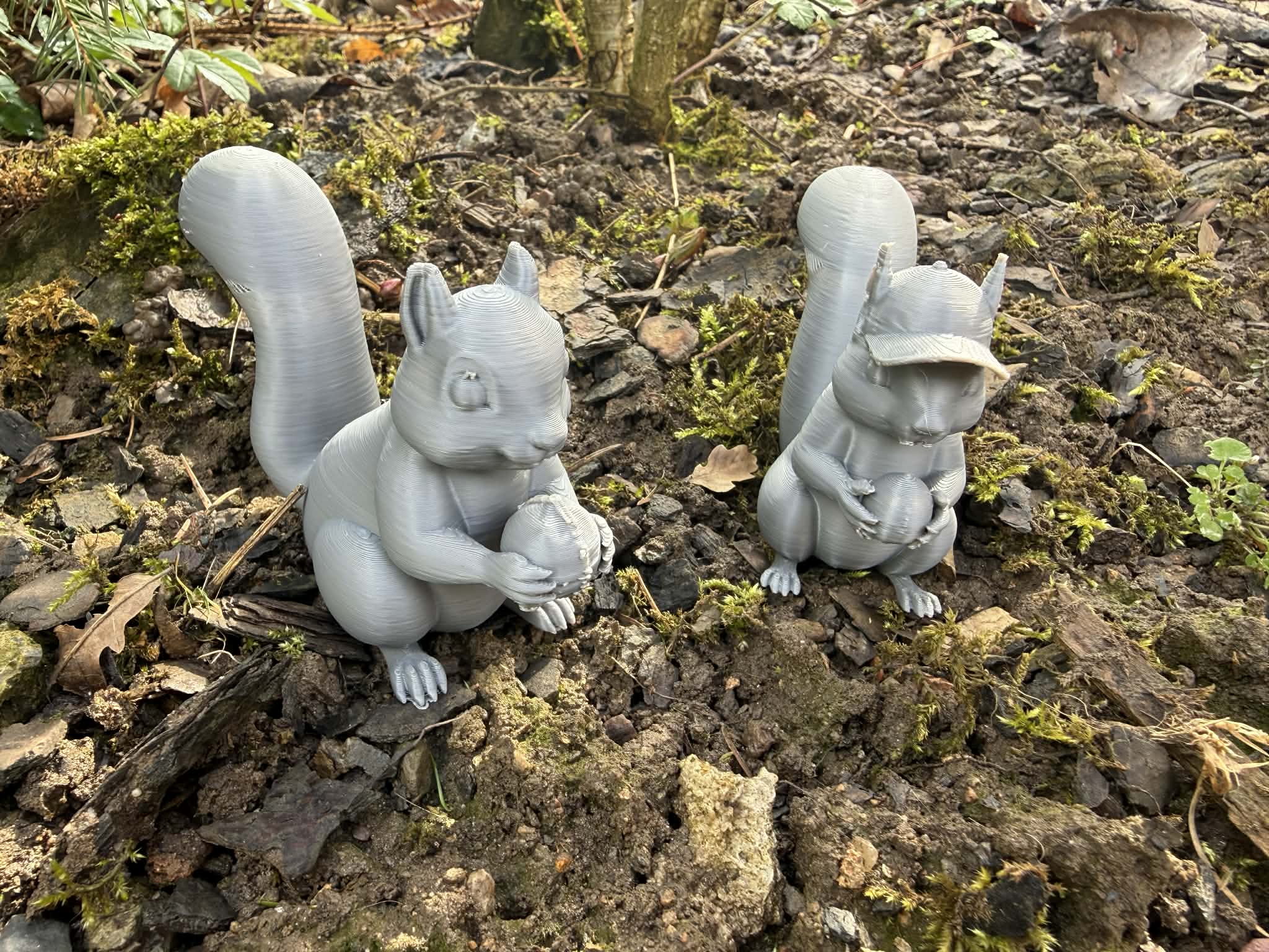 Squirrel with a nut and a hat, veverka