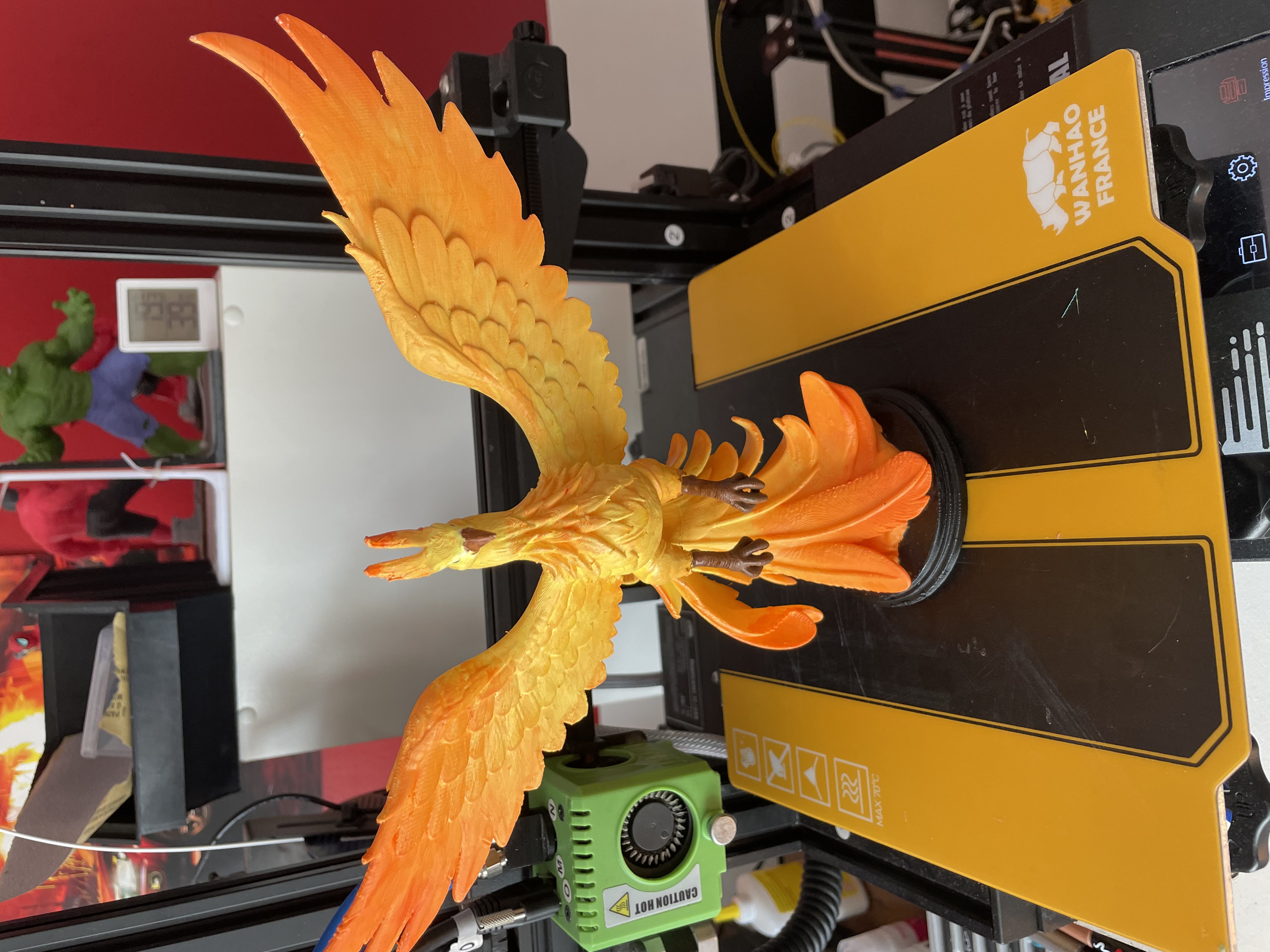 phoenix