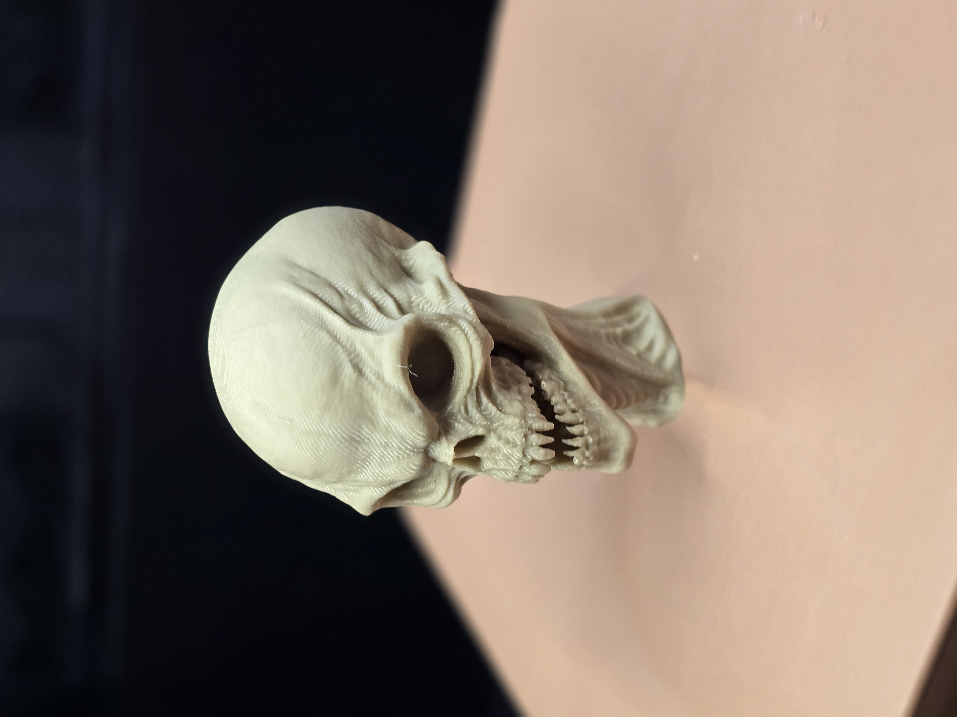 The Abyssal Sentinel – Hyper- Detailed Alien Skull — miniatura 2