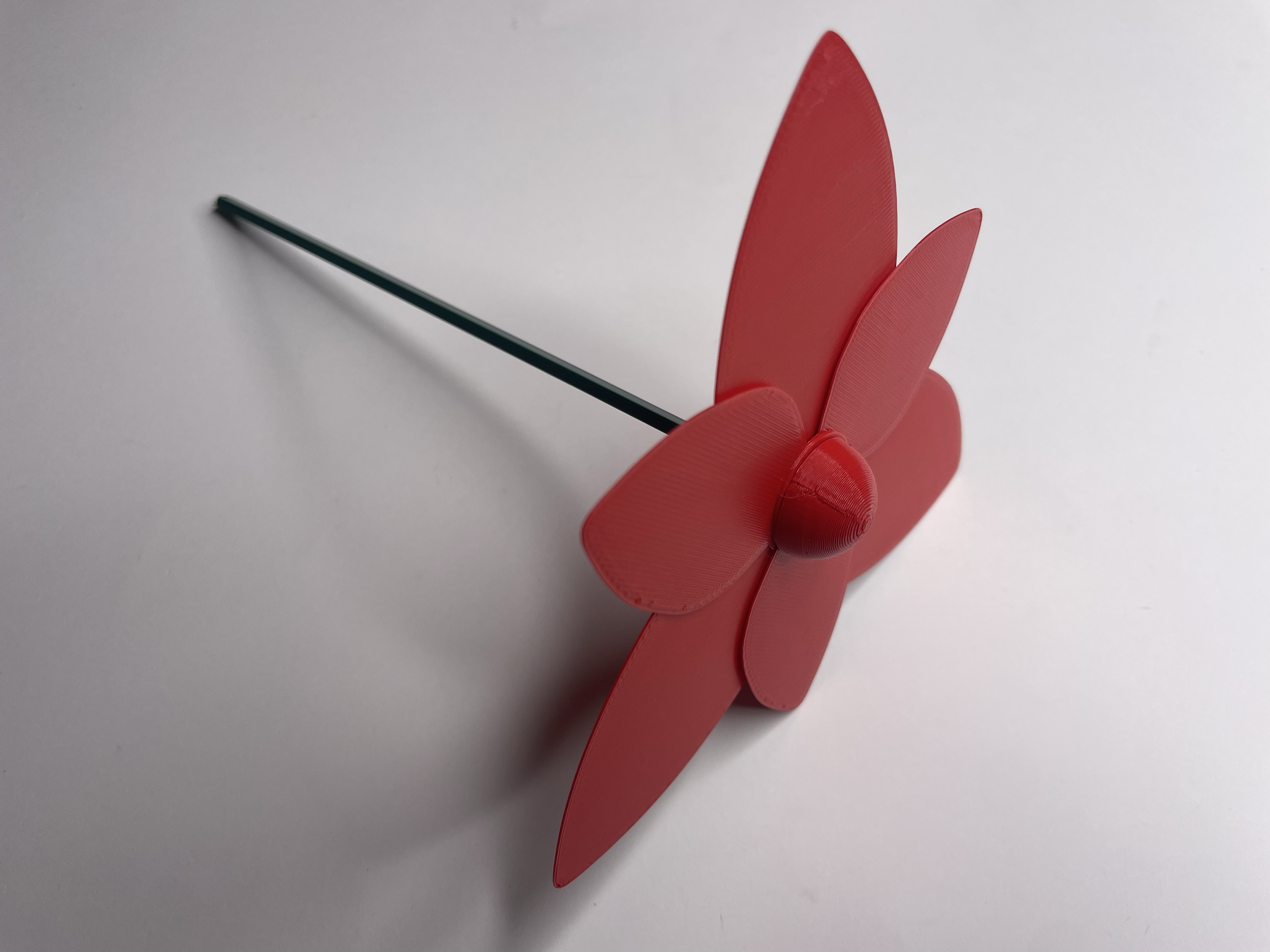 Tulip — thumbnail 10