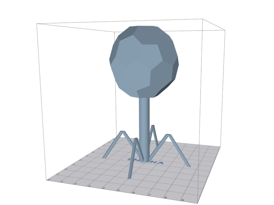 Bacteriophage