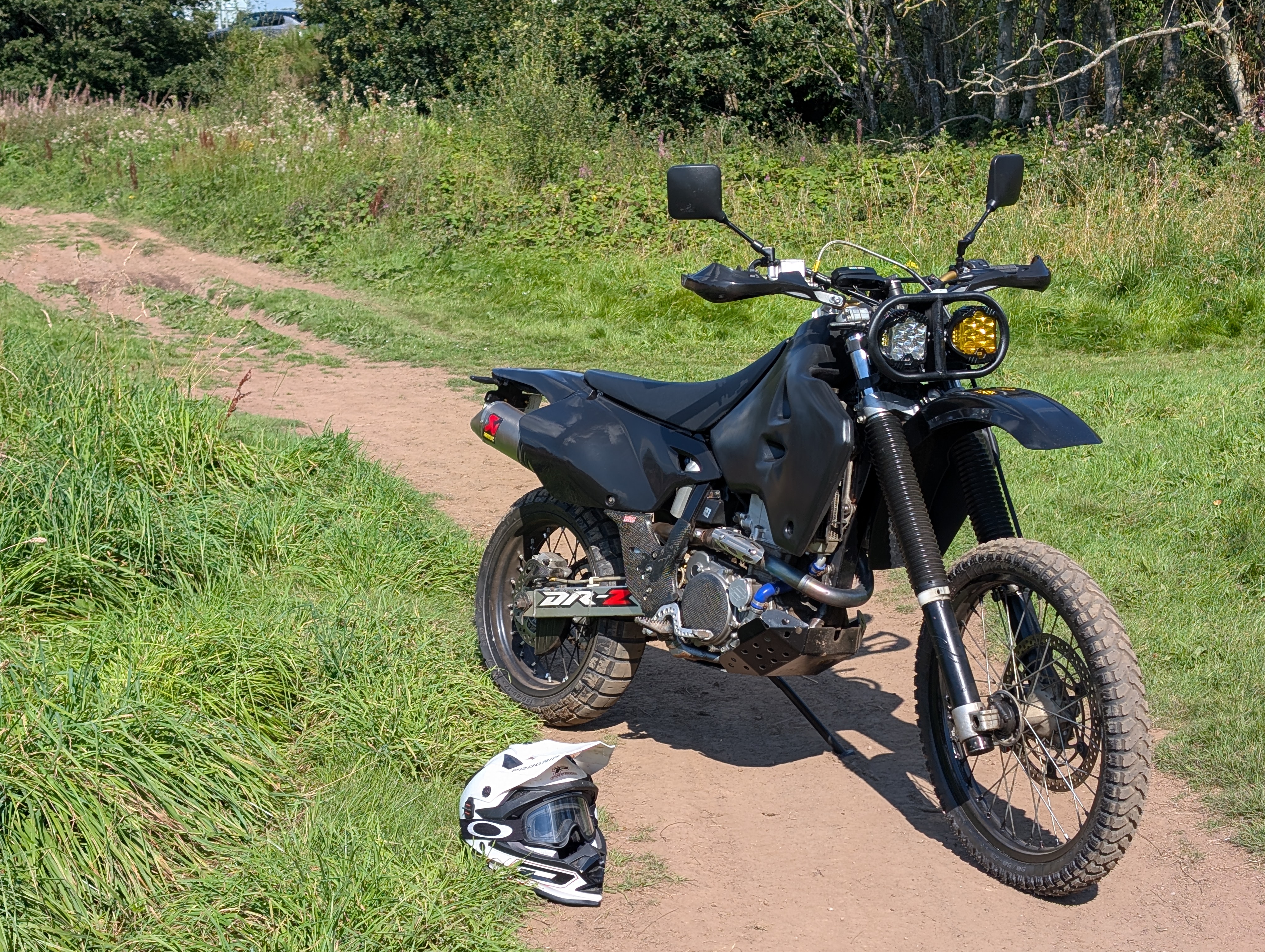 Universal Motorcycle Twin Light Guard