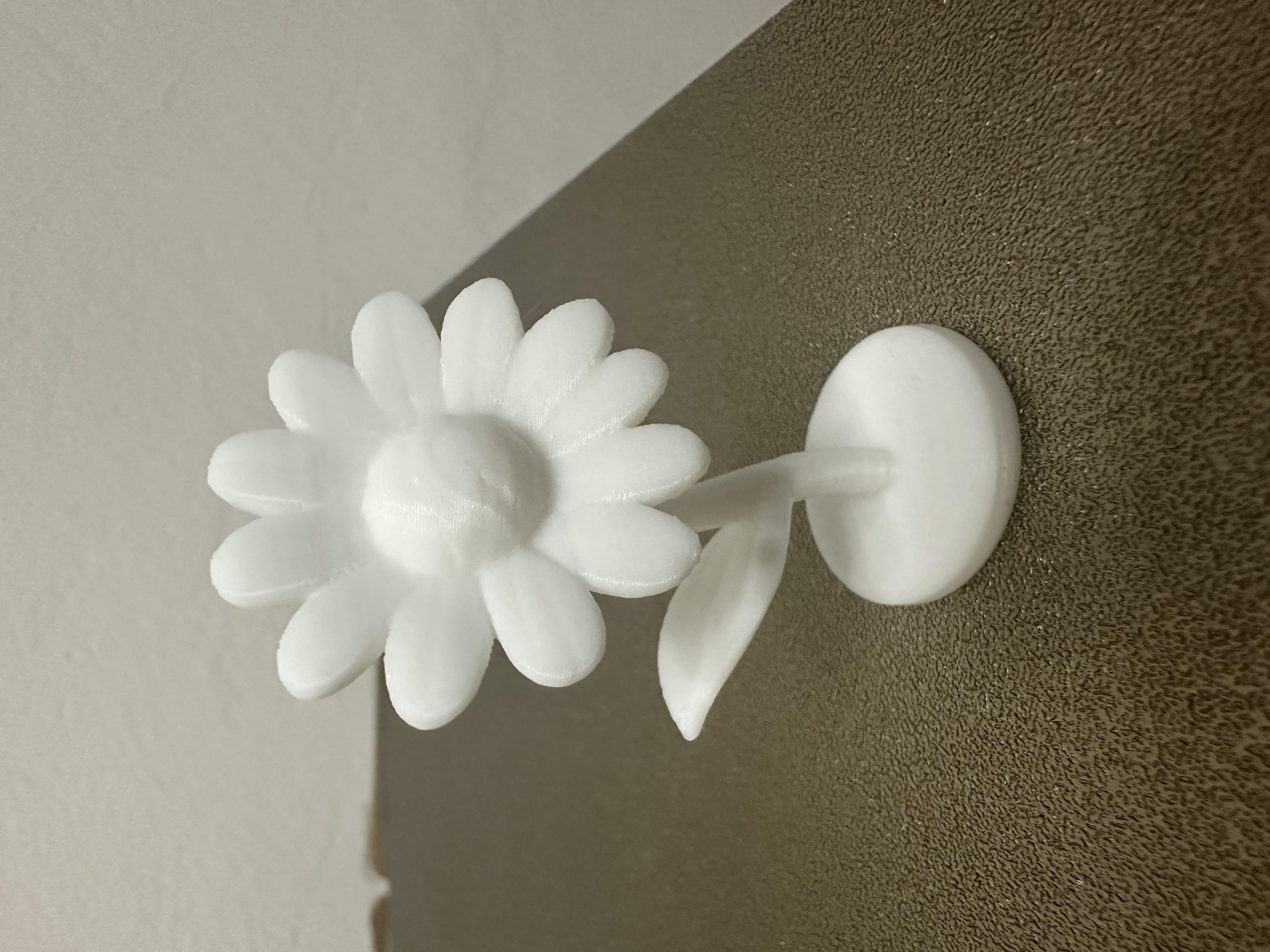 Daisy — miniatura 3