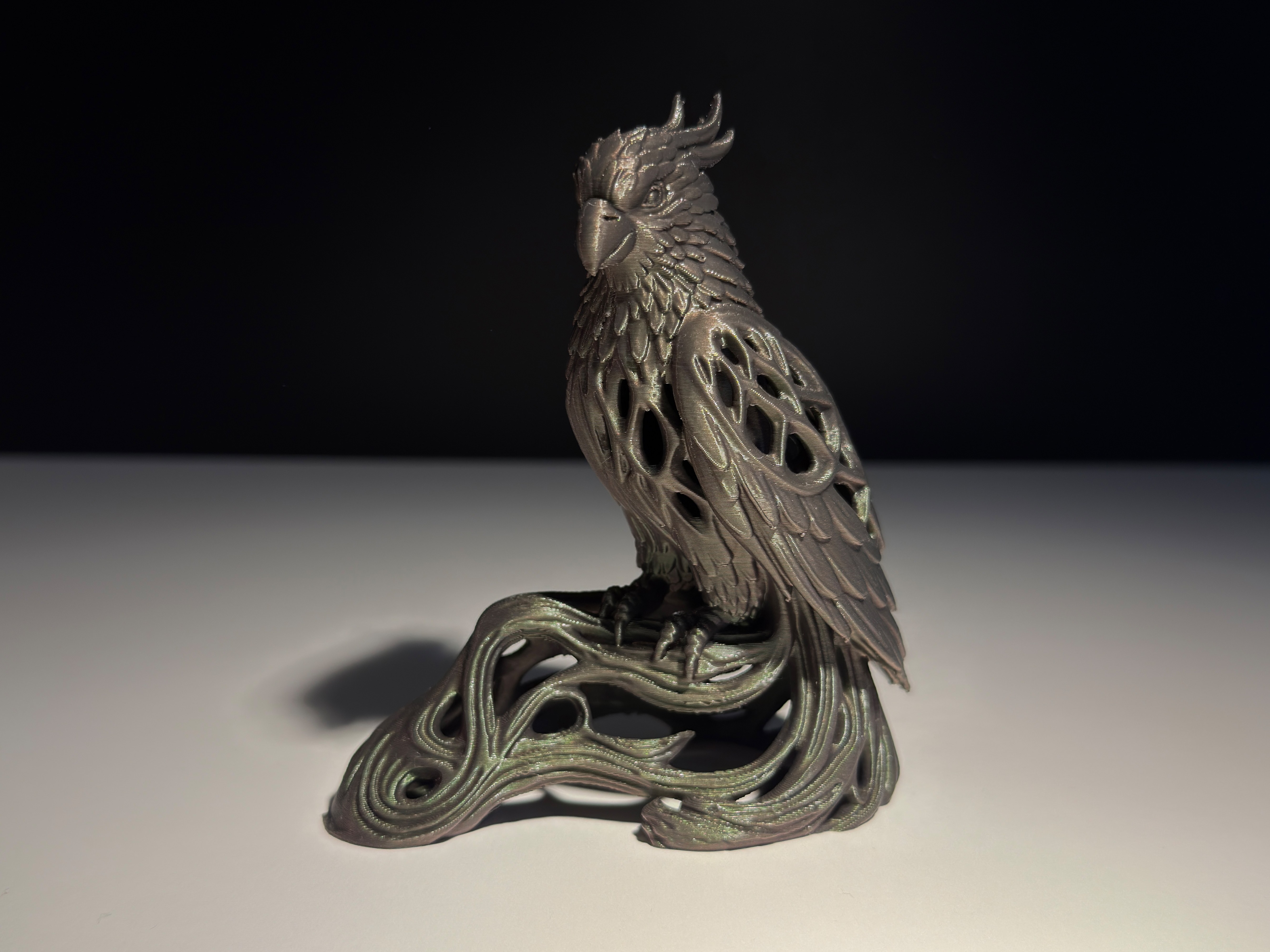 Parrot