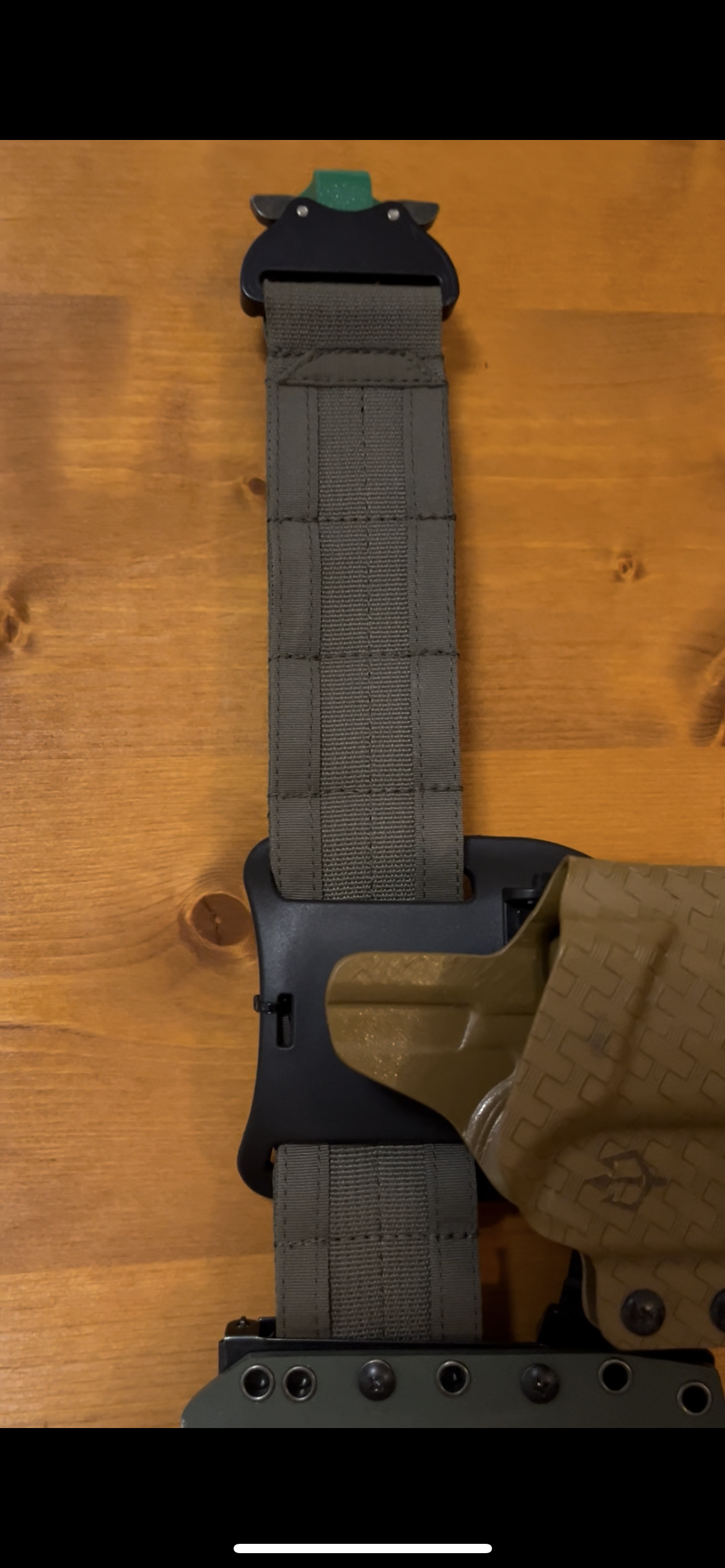 Cobra Buckle/ Belt hanger