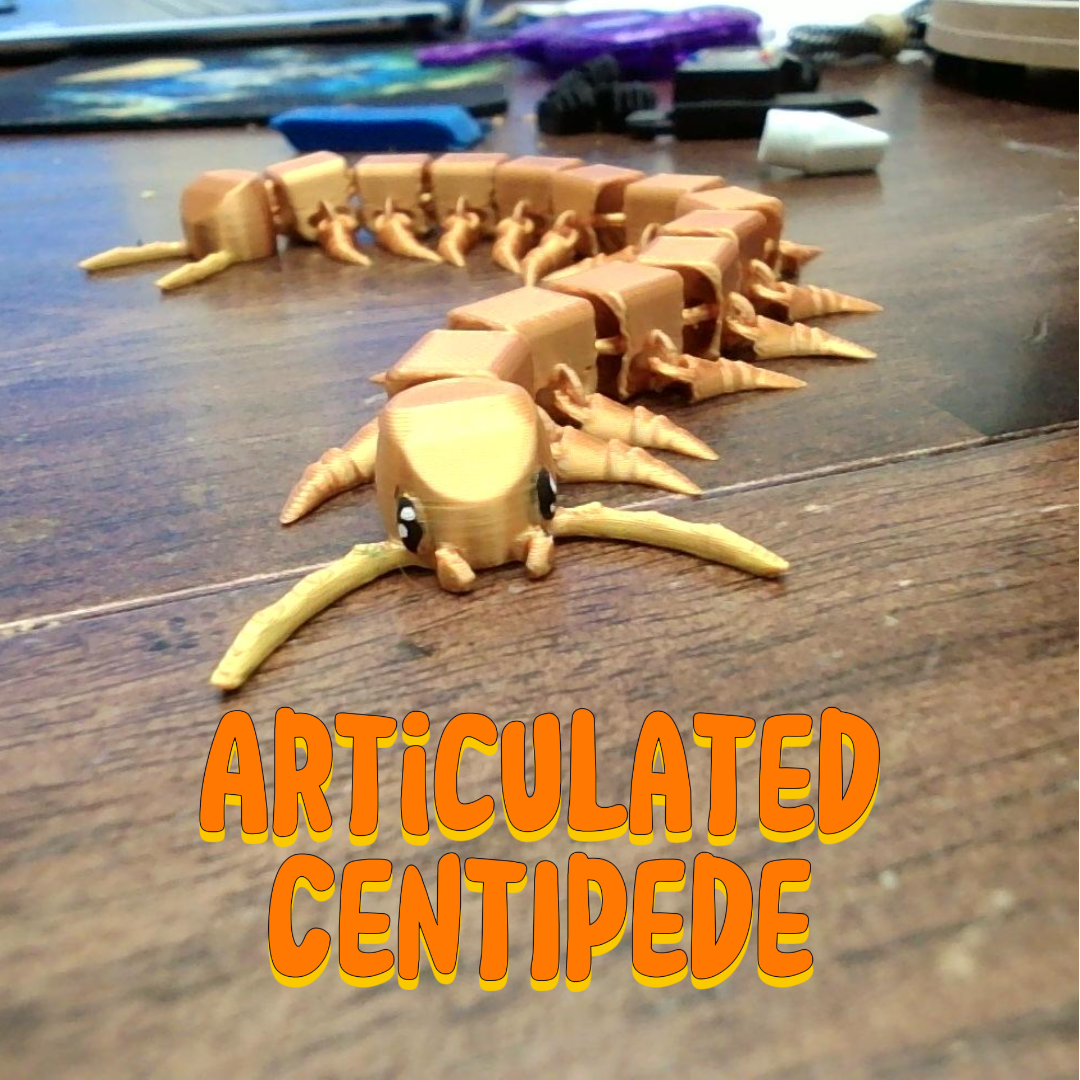 Cute Articulated Centipede