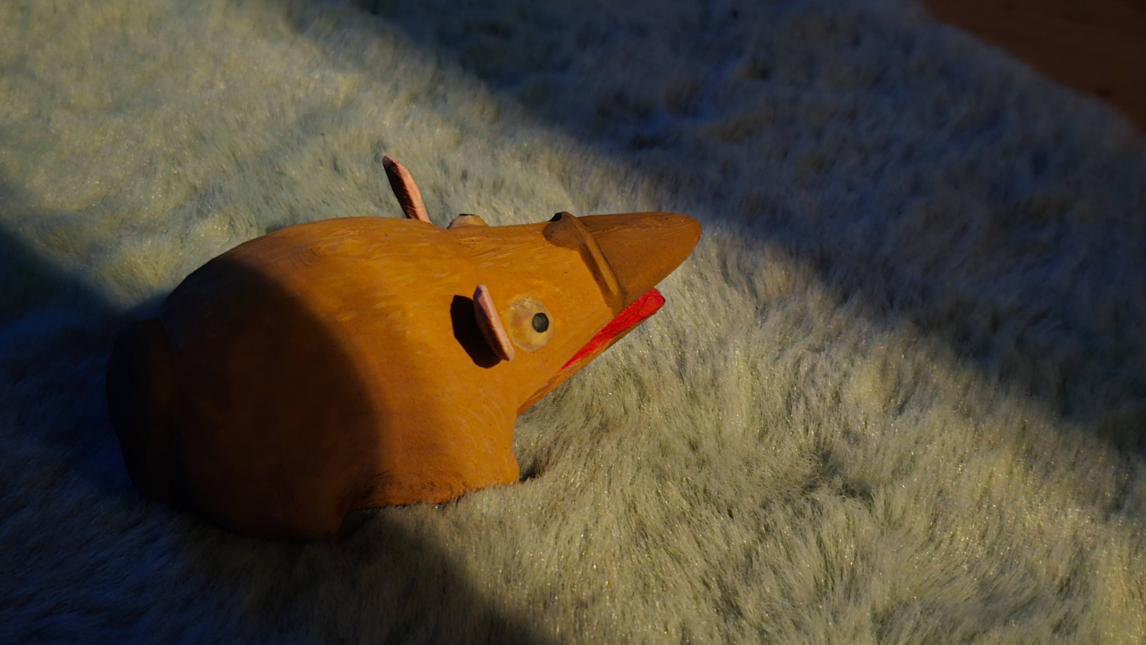 platypus rat