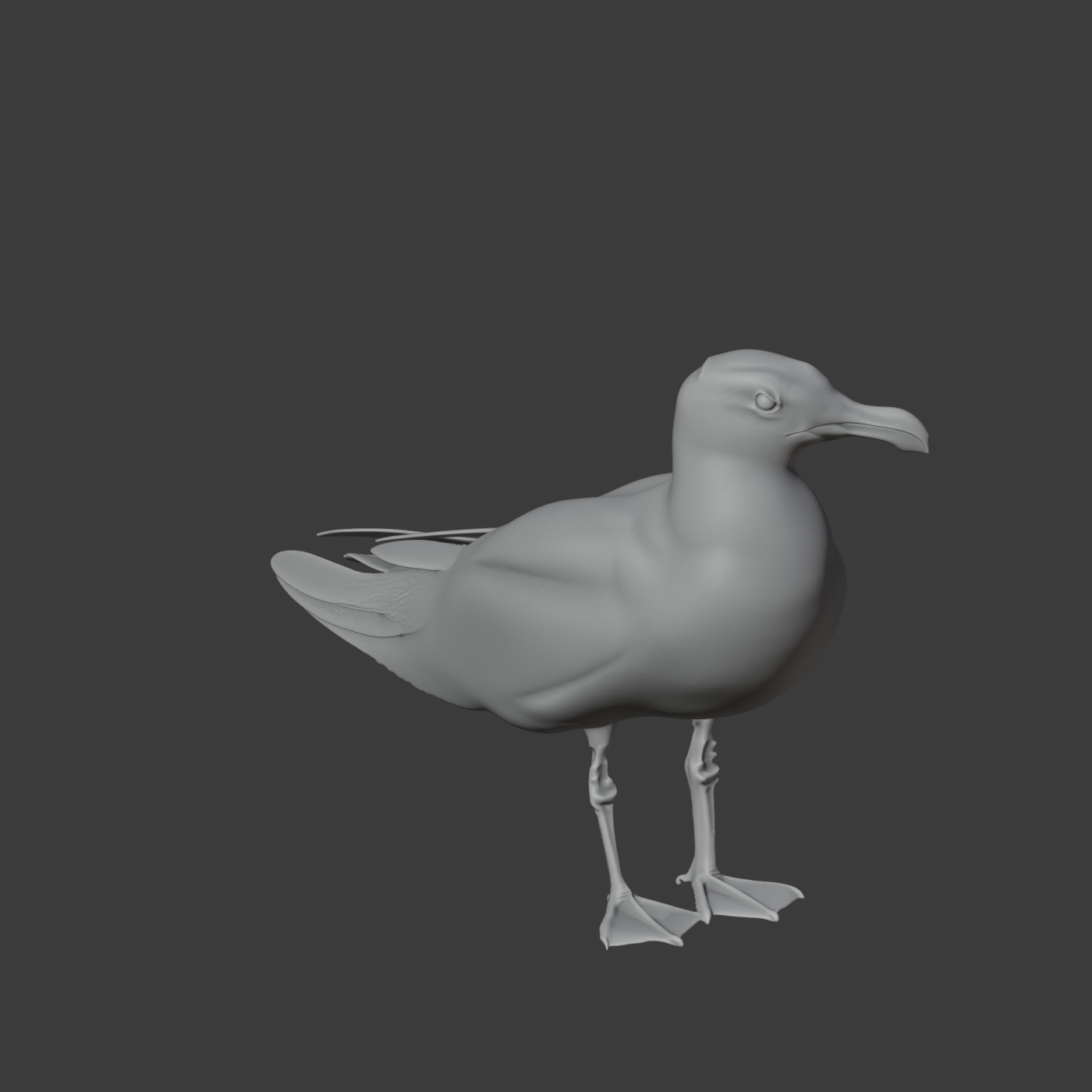 Gull