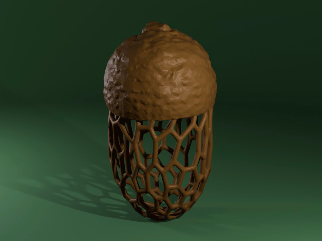 Acorn Voronoi