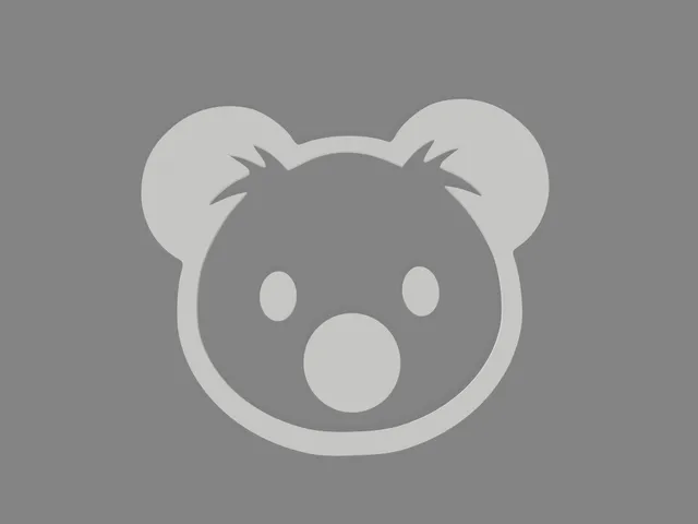 Koala wall decor