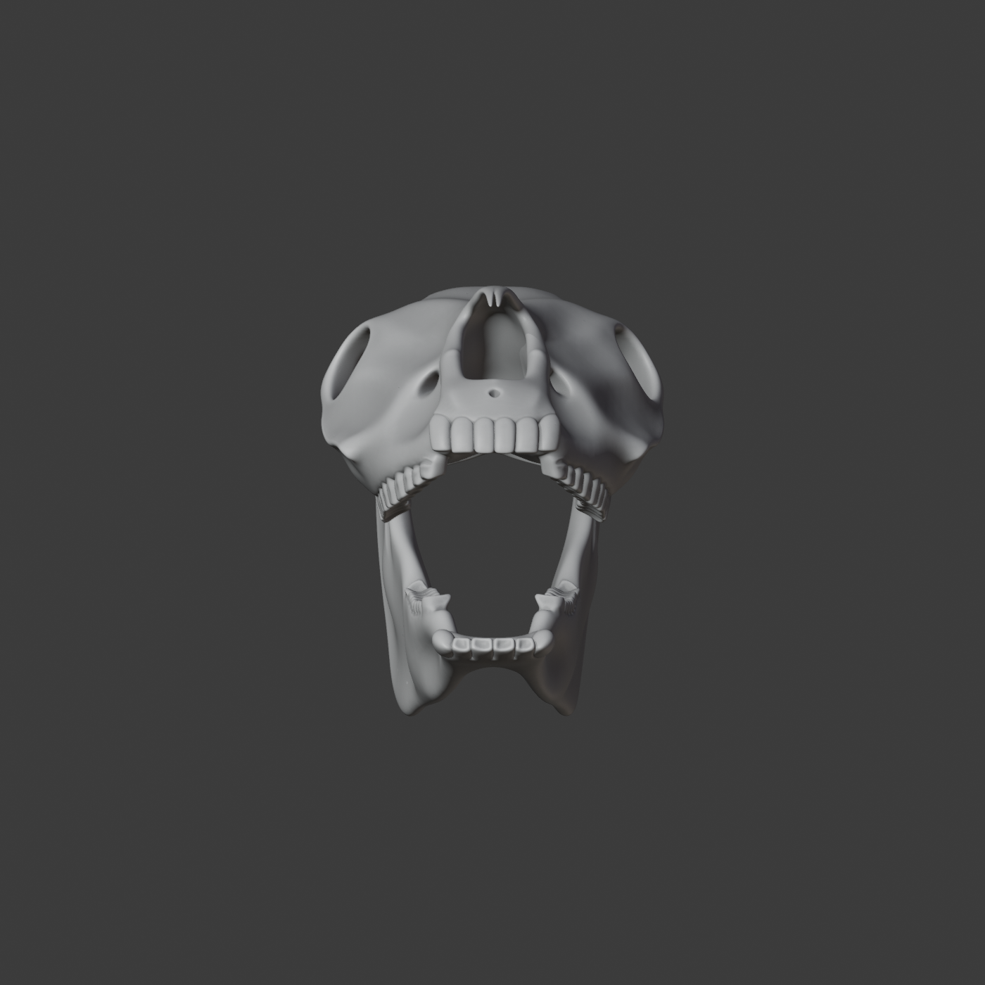 Horse Skull