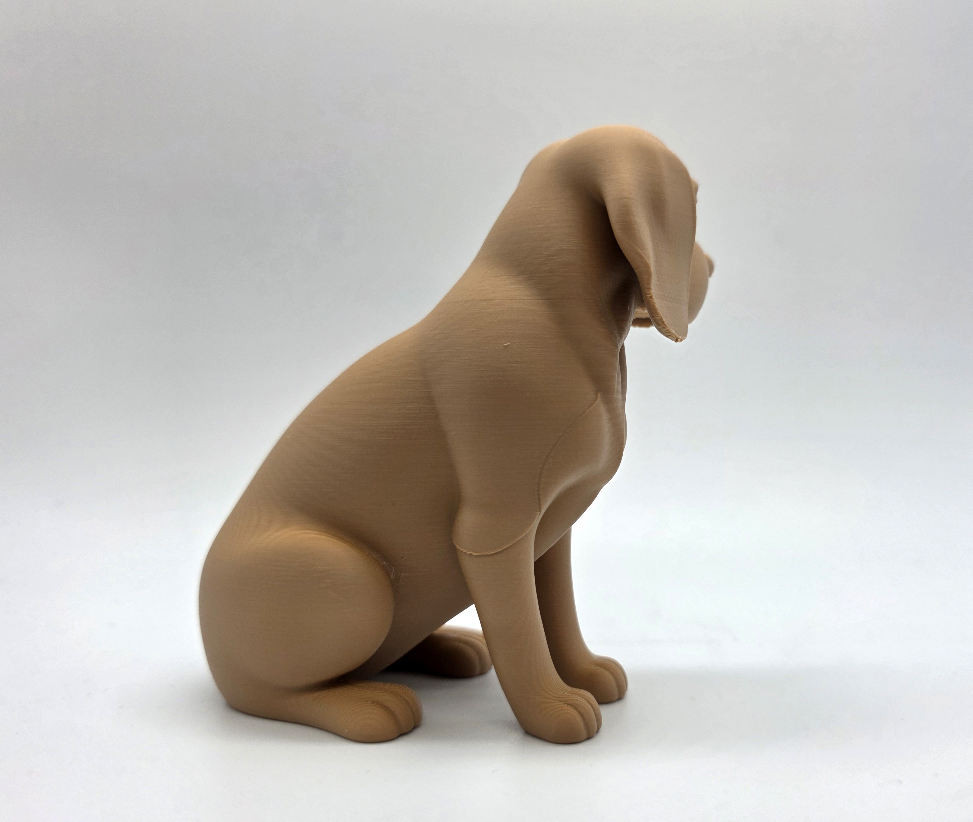 Sitting Beagle — miniatura 6