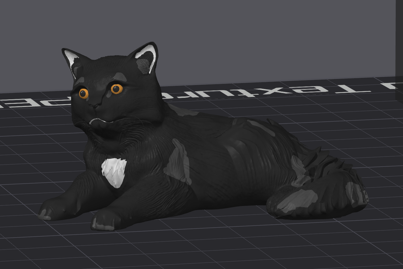 A stubborn cat named Waffle