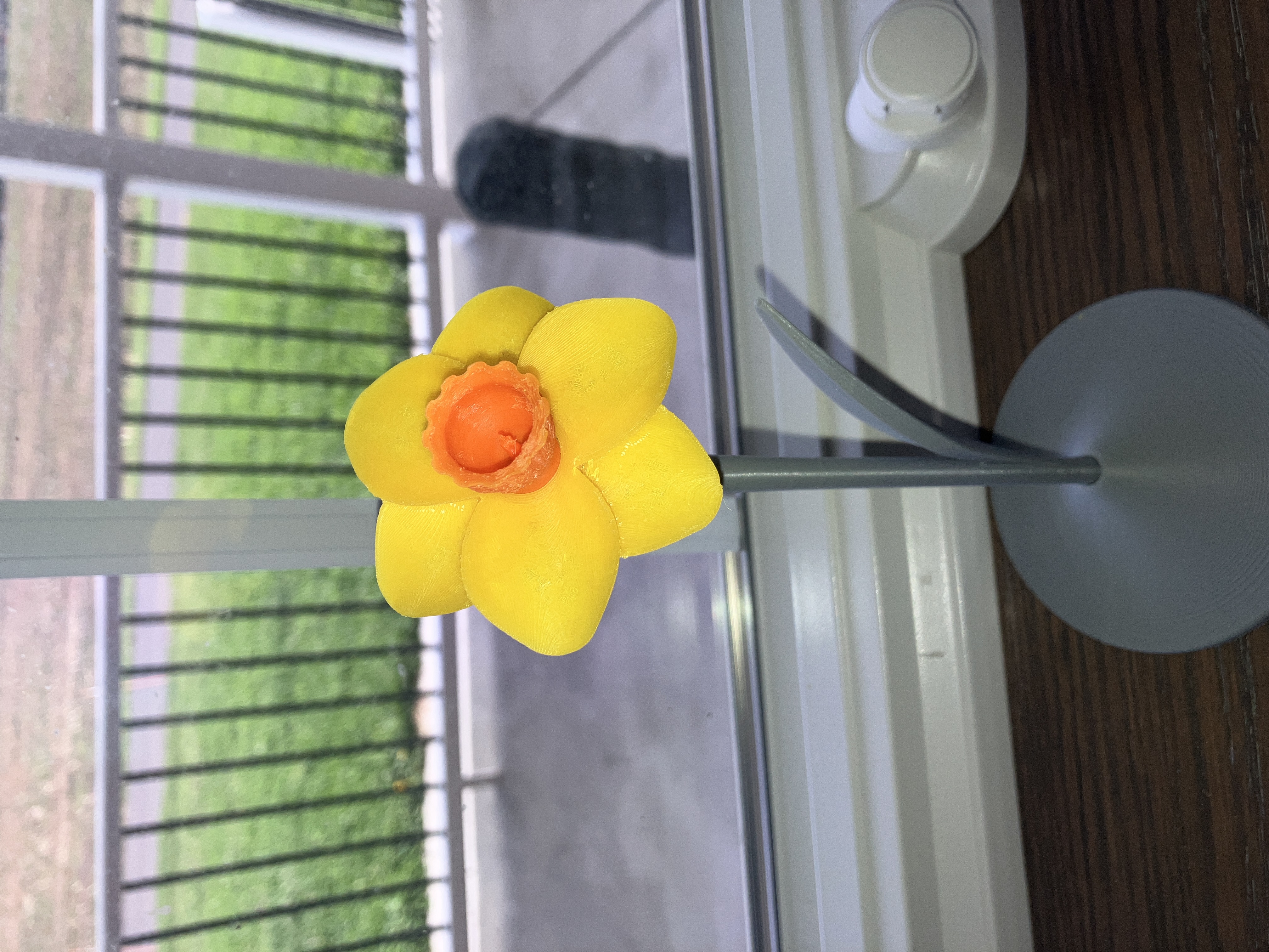 Daffodil with Stem