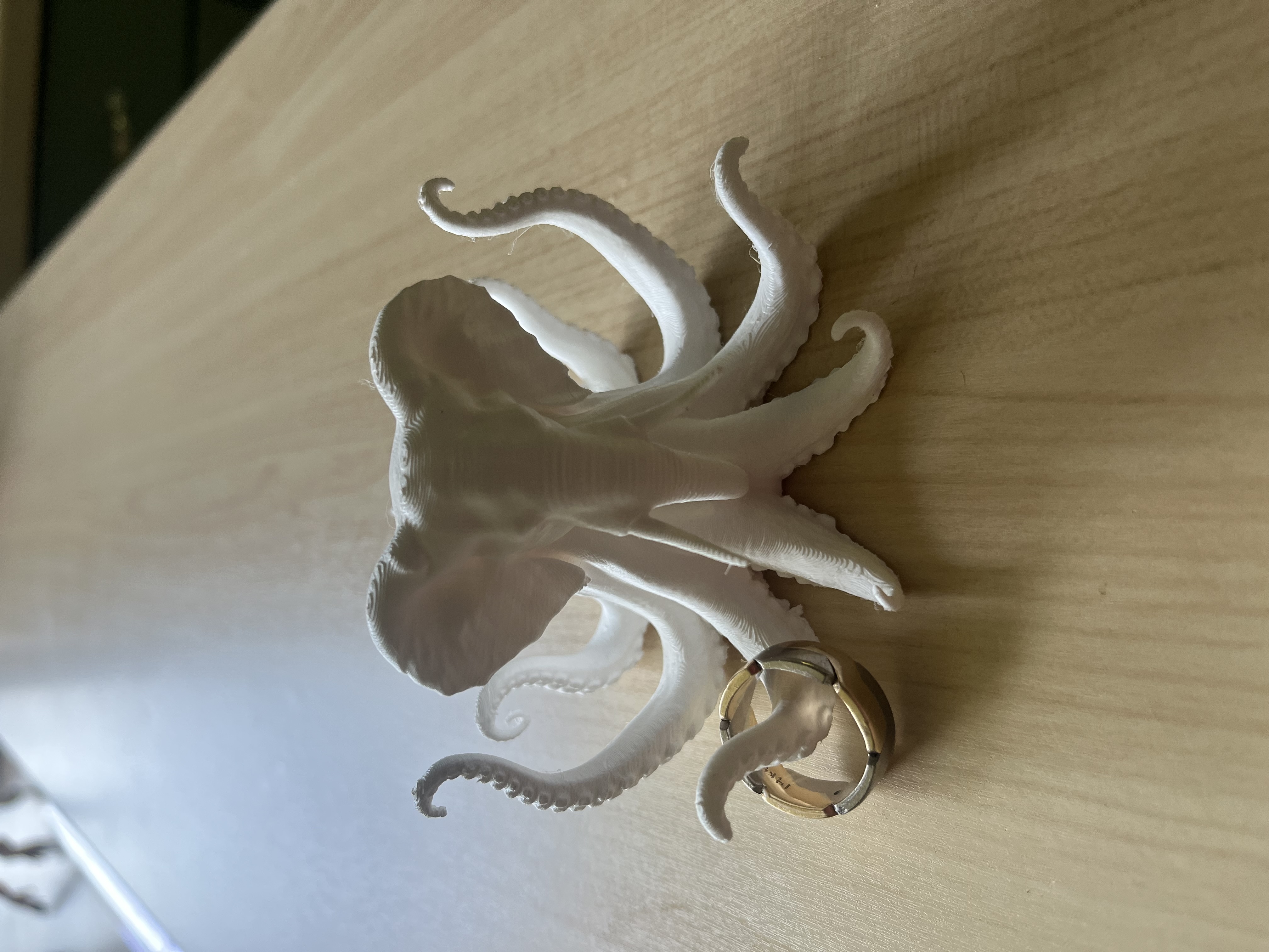 Octophant ring holder