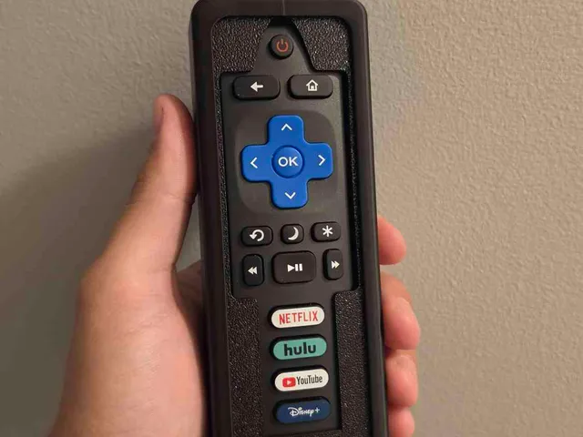 Child Proof Roku Remote Case