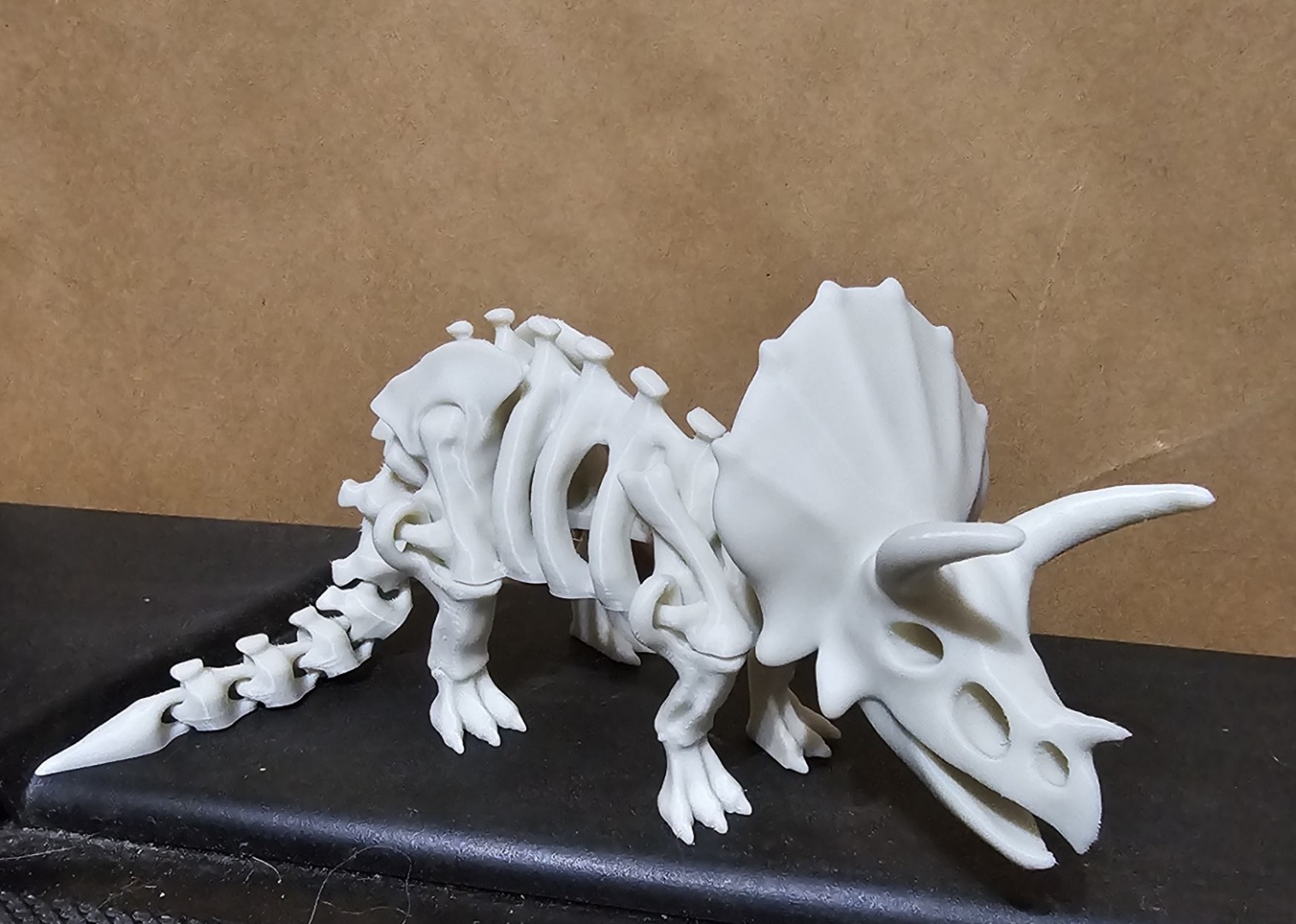 Articulated dinosaur skeleton 2
