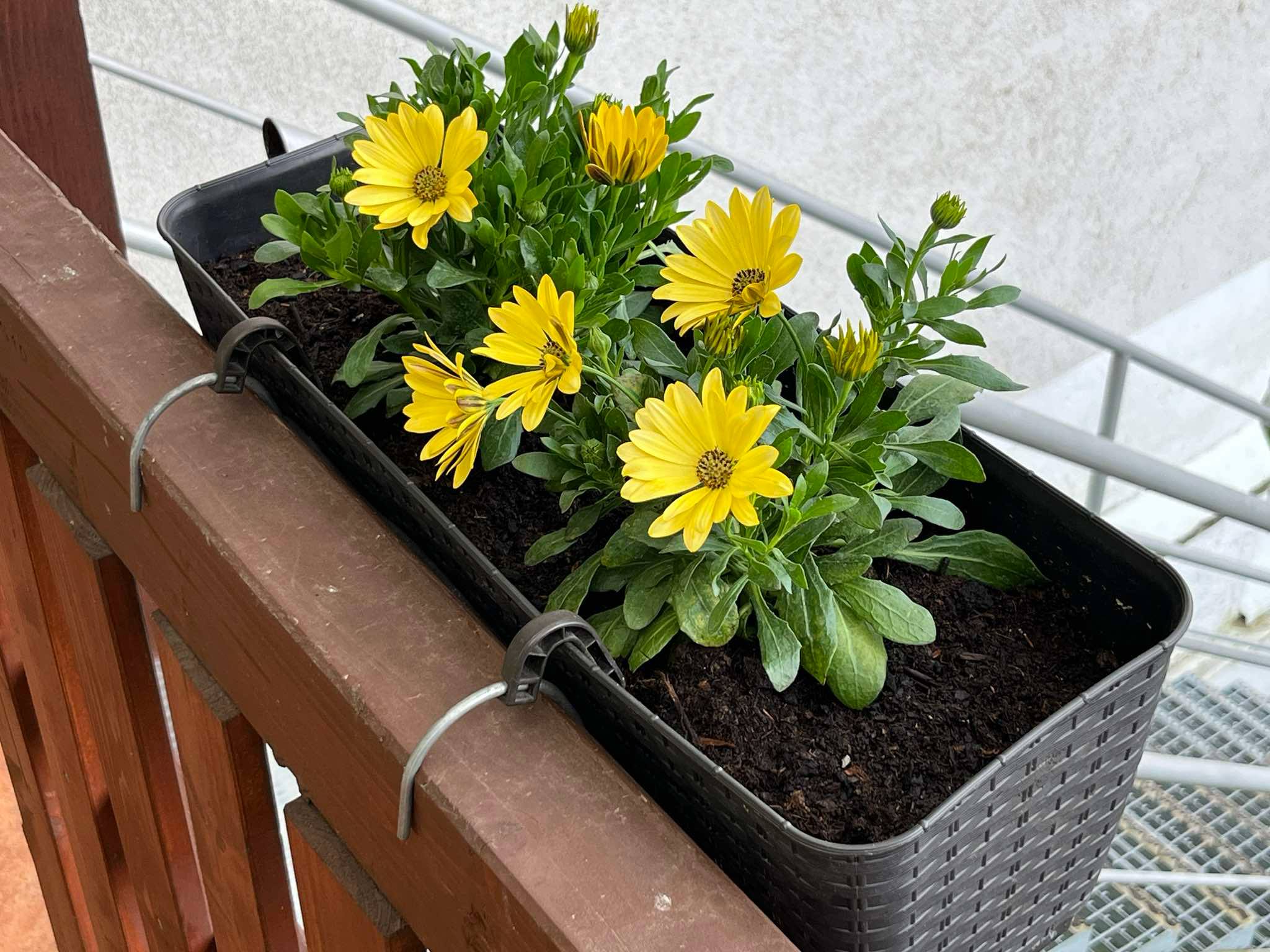 Držák květníku na drát 4,5mm / Flower pot holder for 4.5mm wire