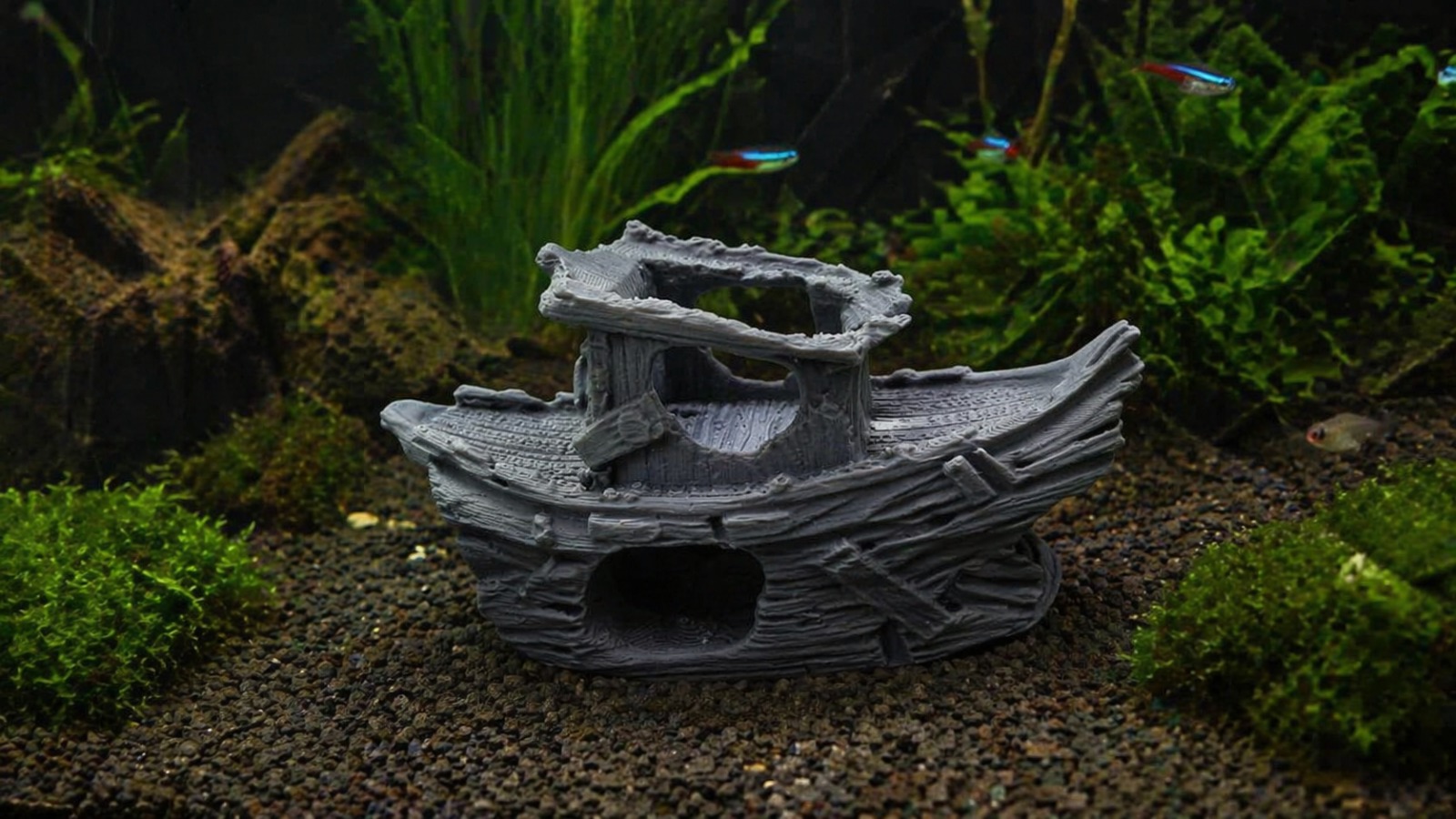 Schiffswrack Aquarium Höhle