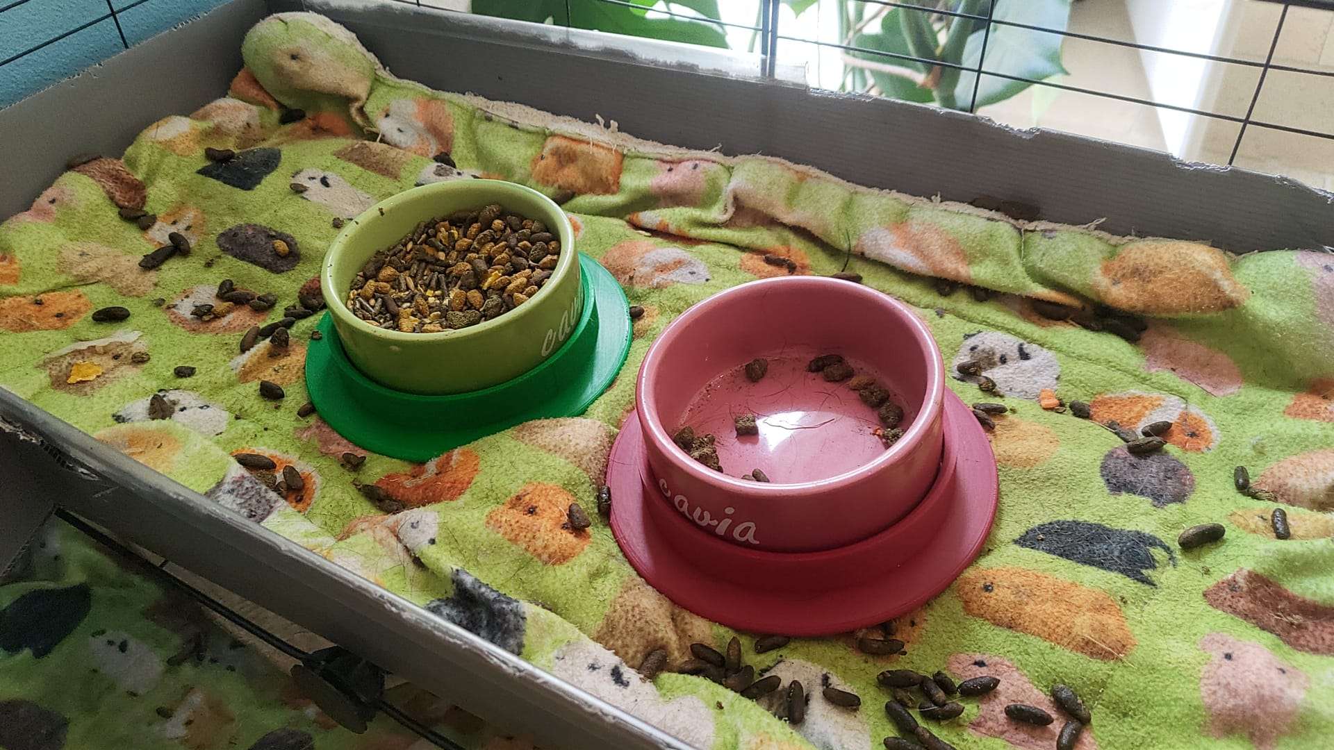 Pet bowl stand