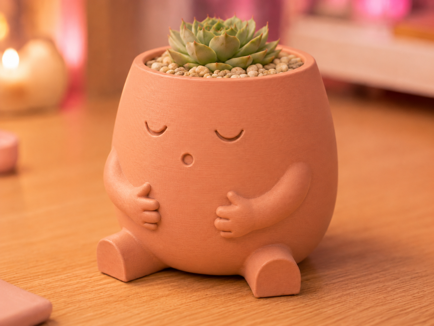 "Snoozy" Cute Planter - Minimalist Decor