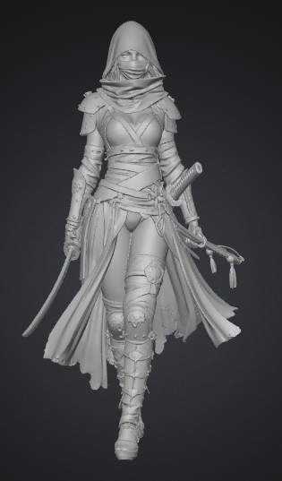 Lady Shadow Warrior