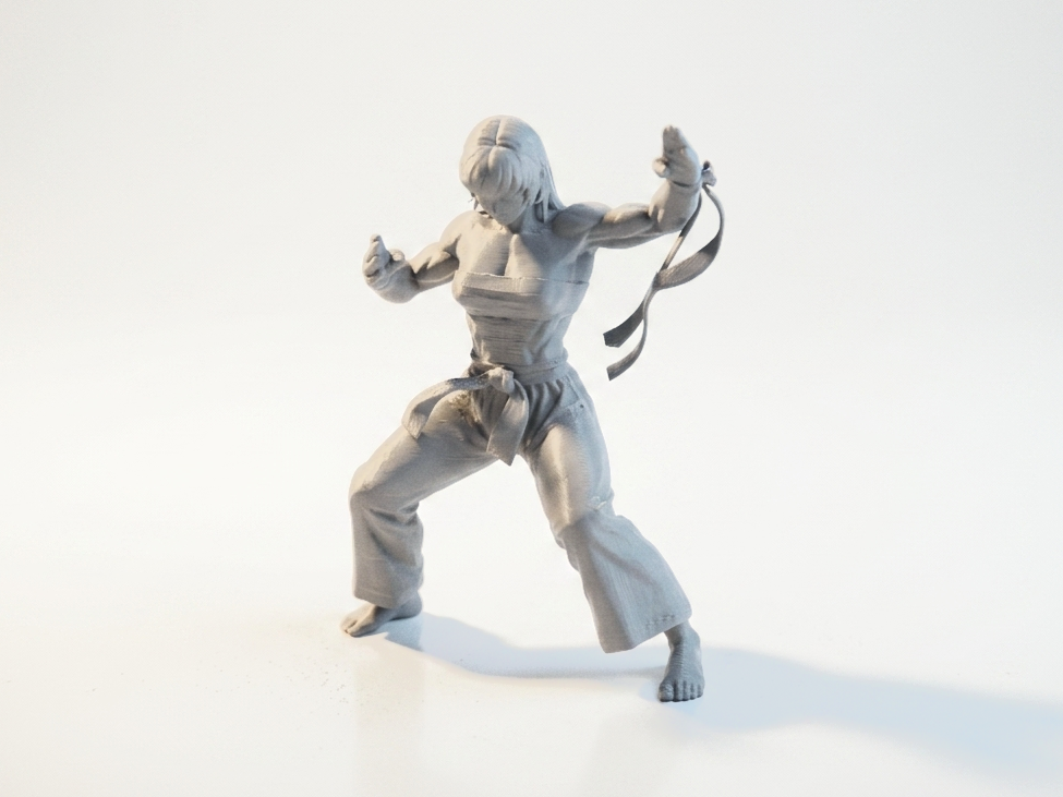 Karate Girl Martial Arts Figurine Female 3D Printable