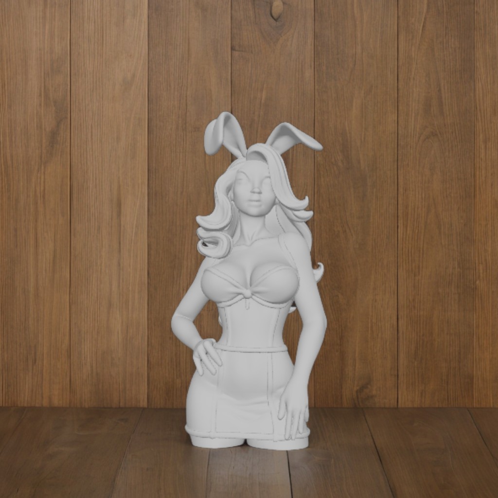 Playboy Sexy Girl