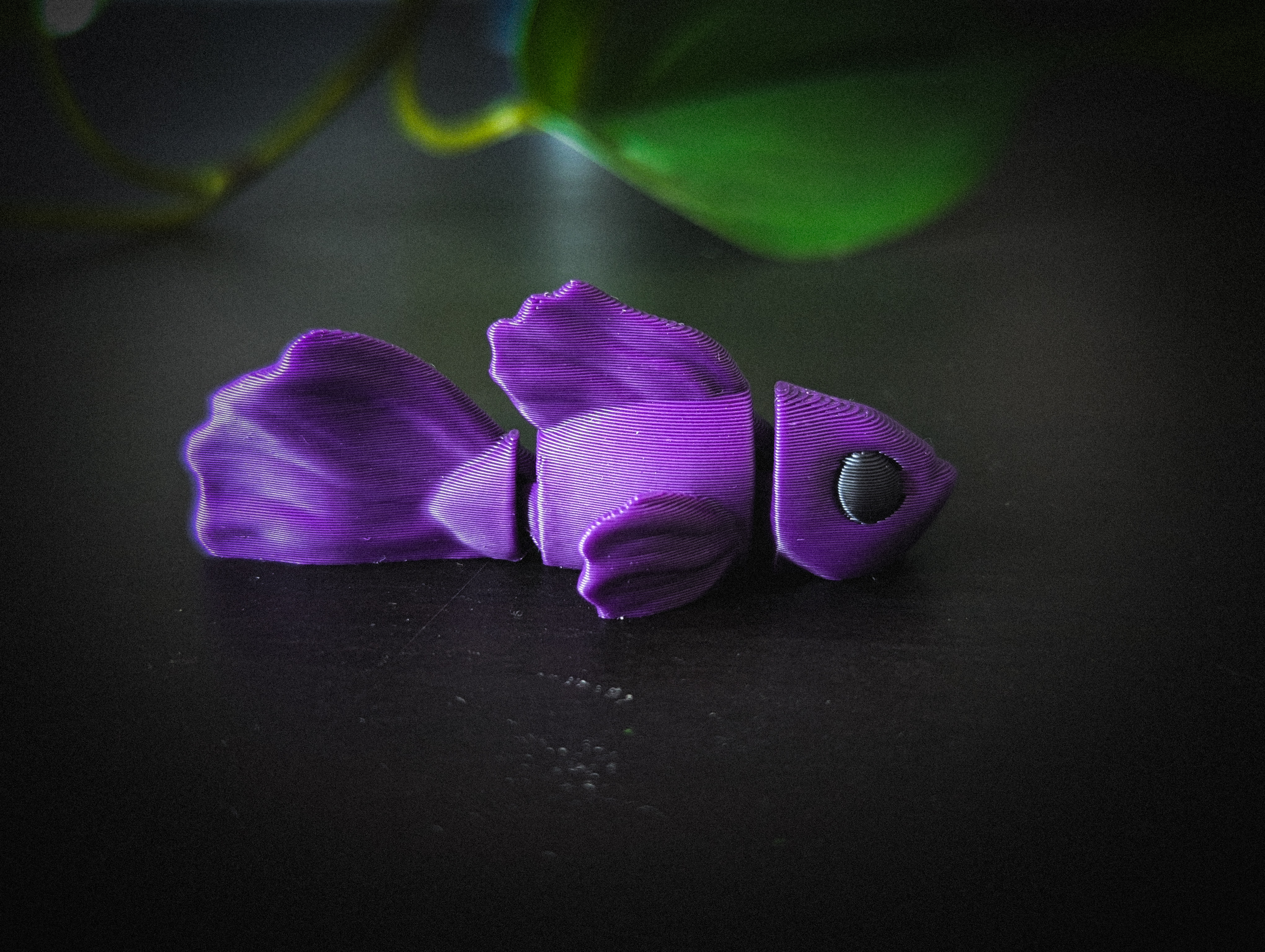 Miniatura 3 do modelo 3D Flexi Betta Fish