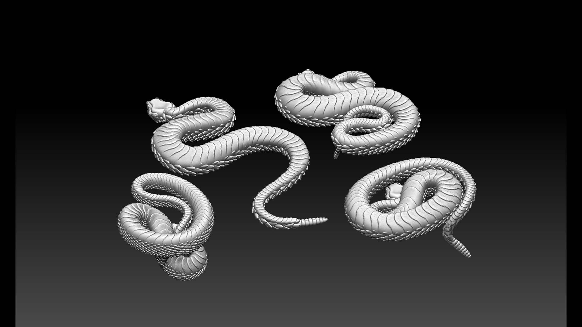 snakes — miniatura 2
