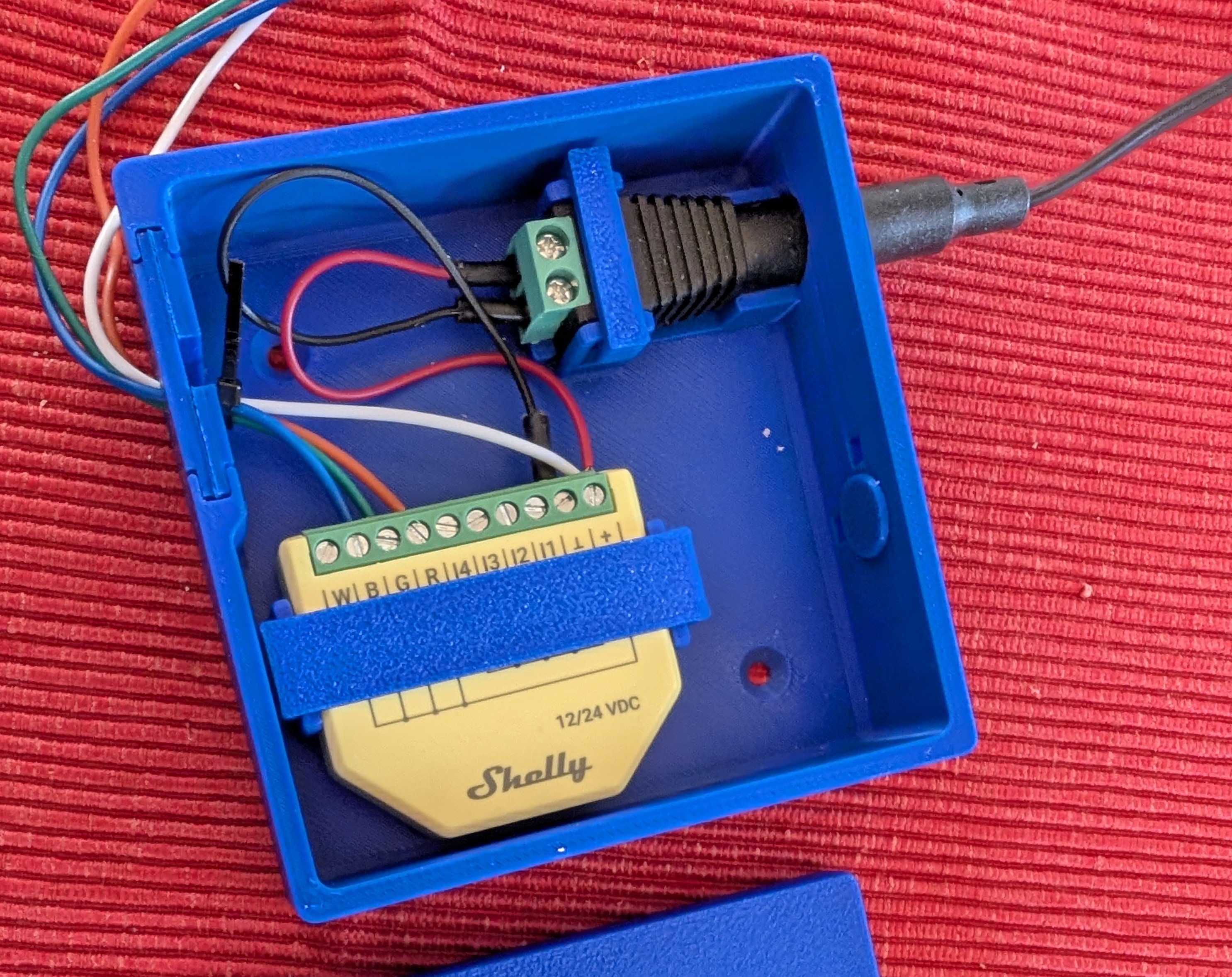 Shelly Box