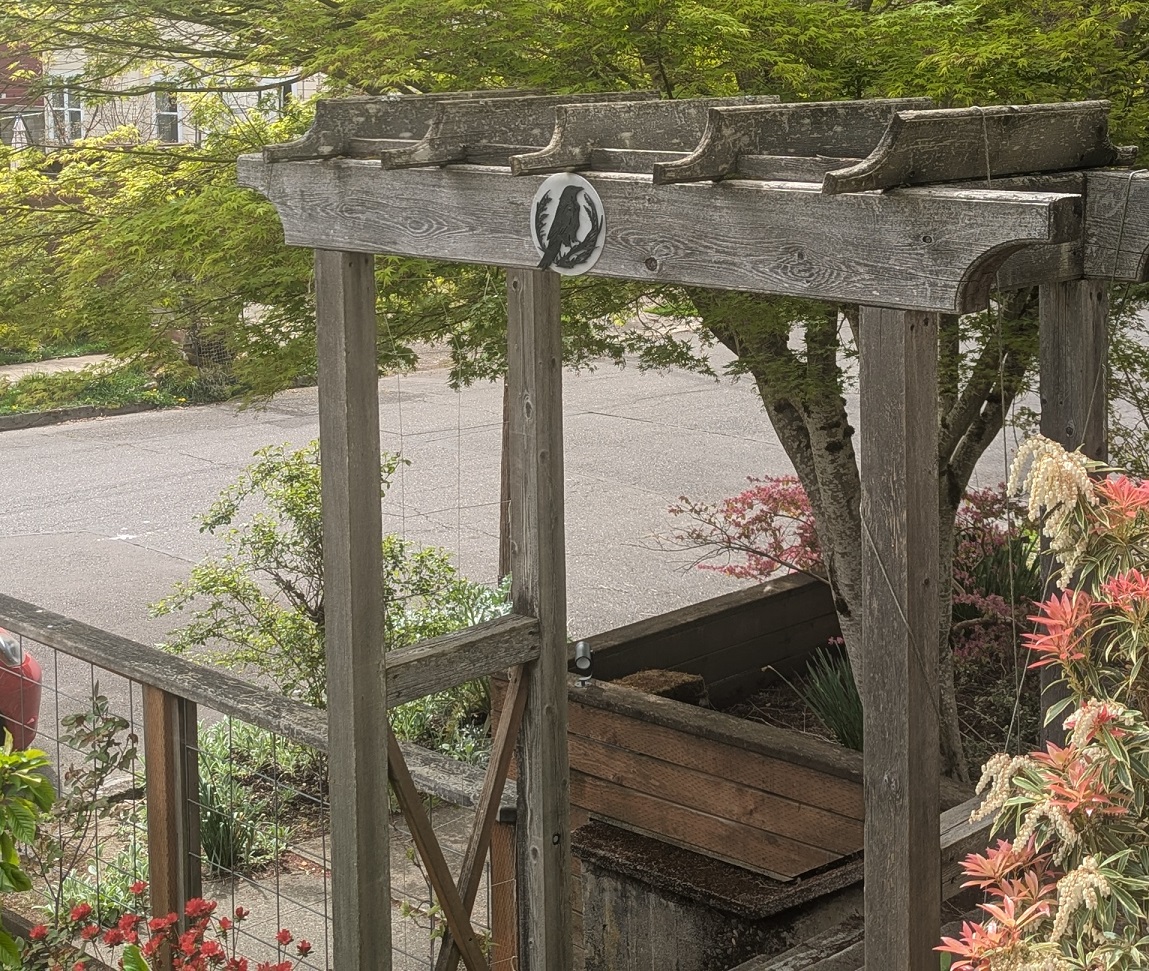 Crow outline for mounting, (less like a Raven!) — miniatura 2