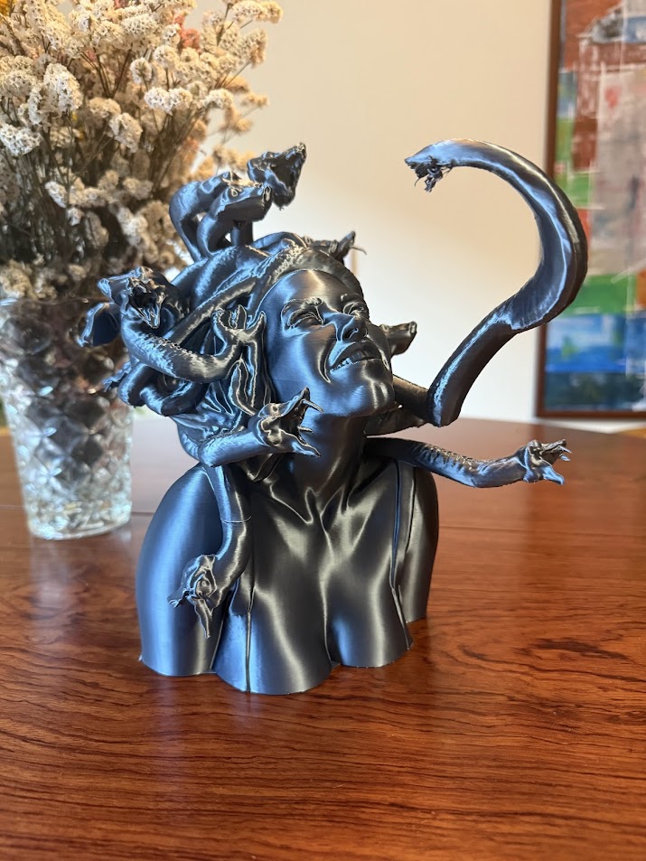 Medusa’s Serpentine Jewelry Holder