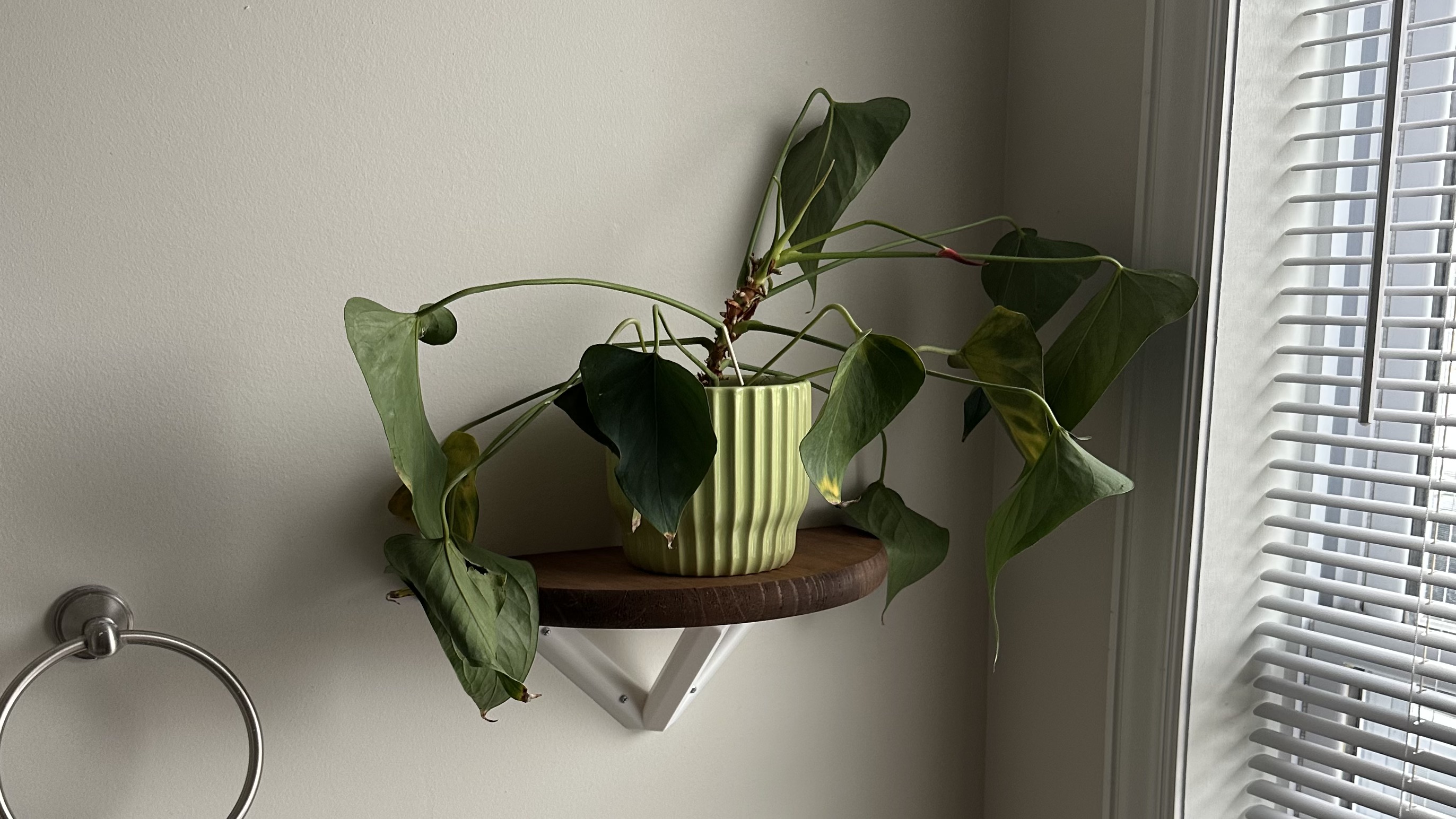 Flat Wall Shelf Bracket