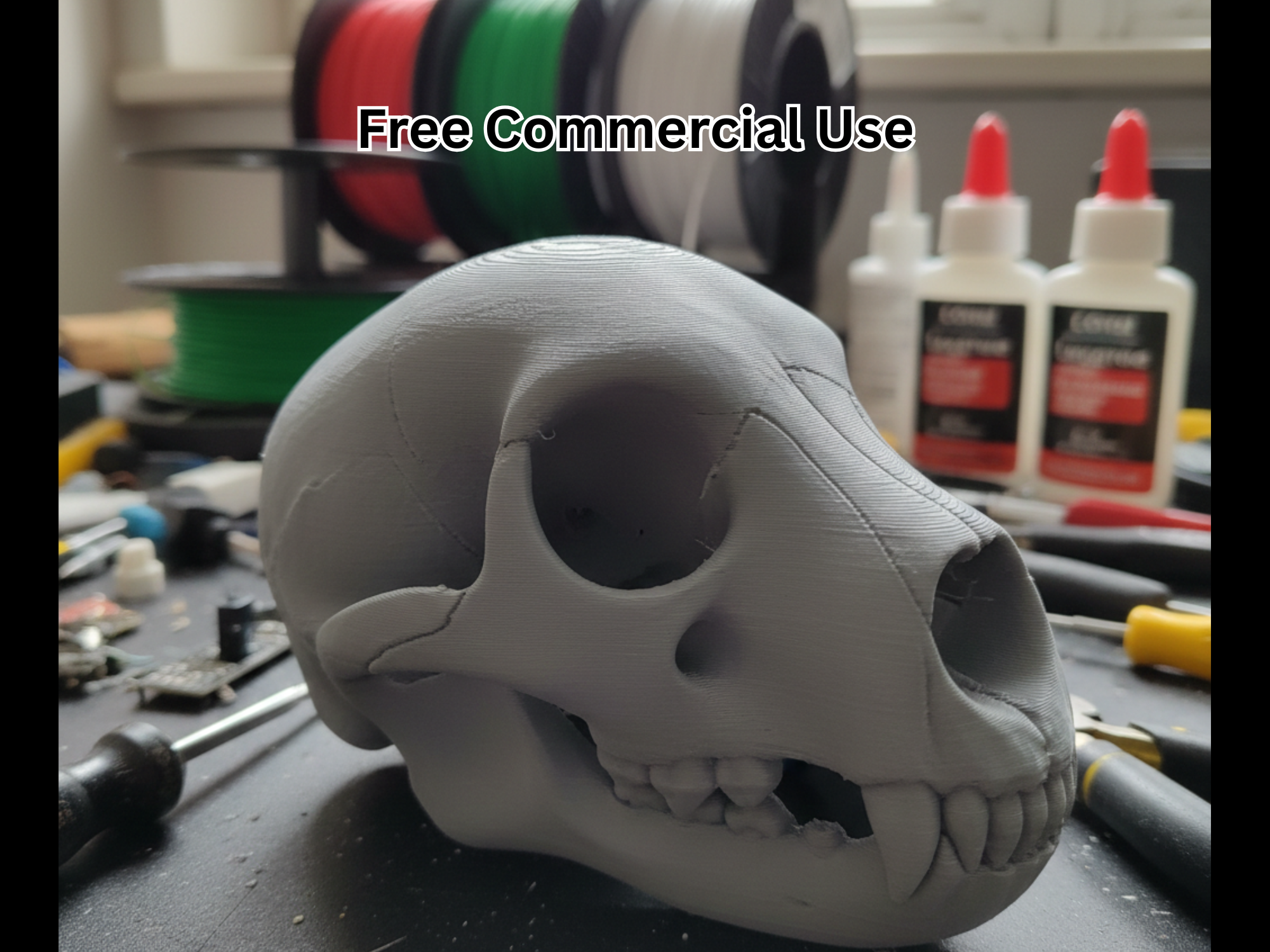 Bear Skull