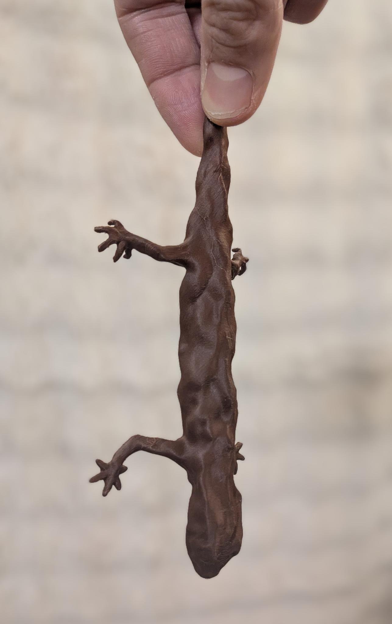 Roasted Newt (Spirited Away fanart)