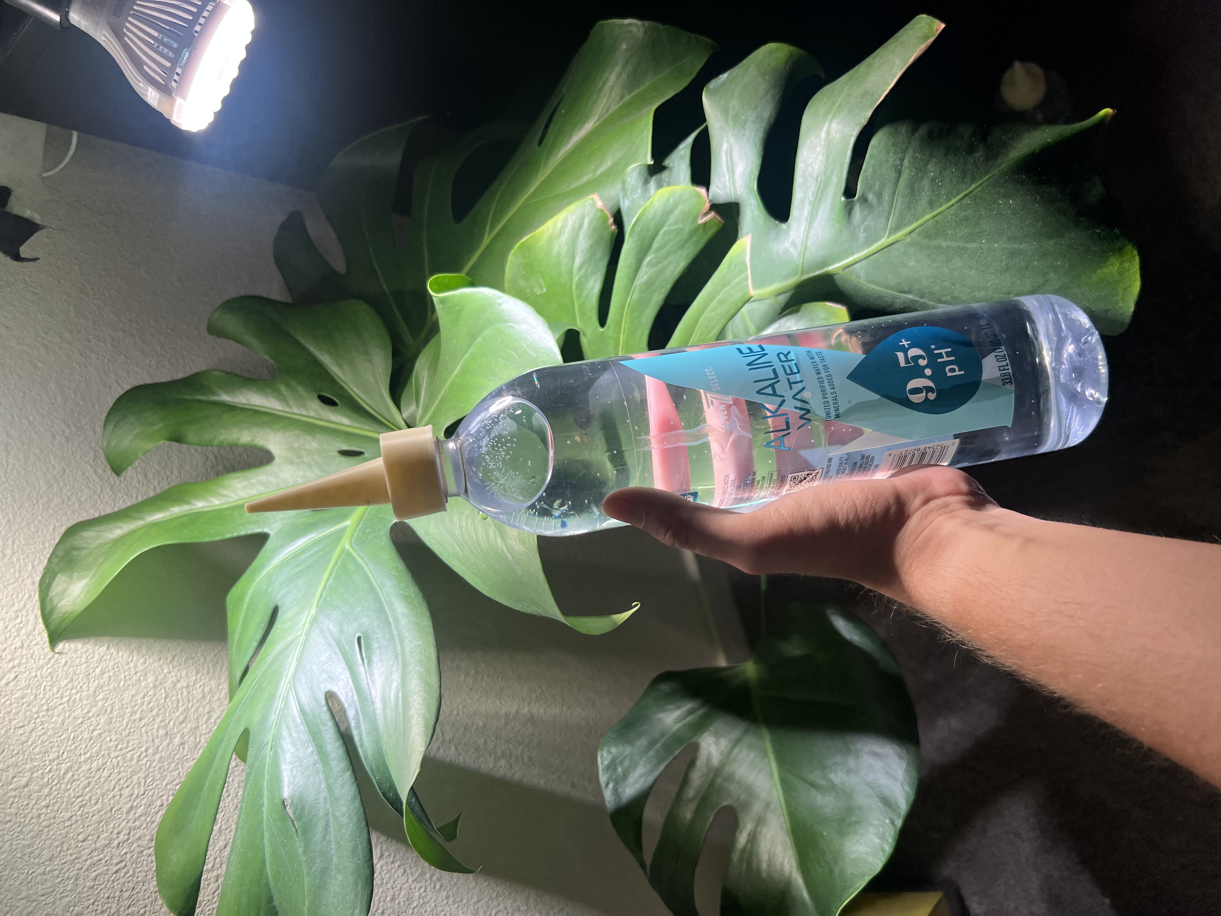 Self-Watering Plant Spike