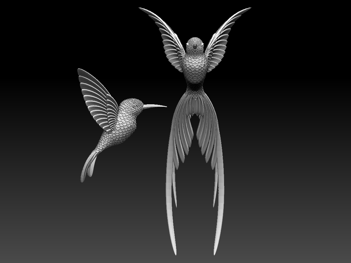hummingbird — miniatura 4
