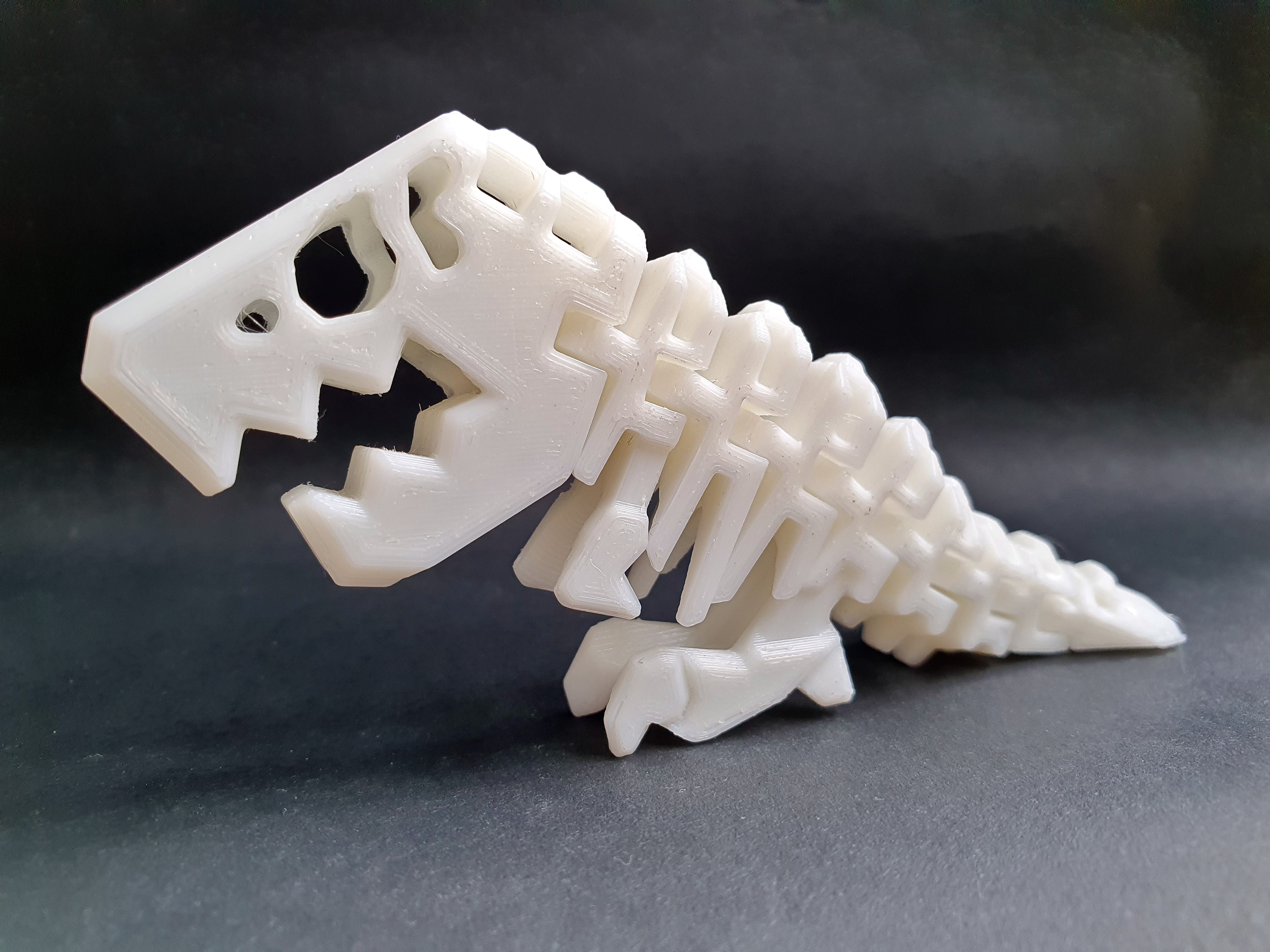 Miniatura 2 do modelo 3D Flexi Rex Skeleton
