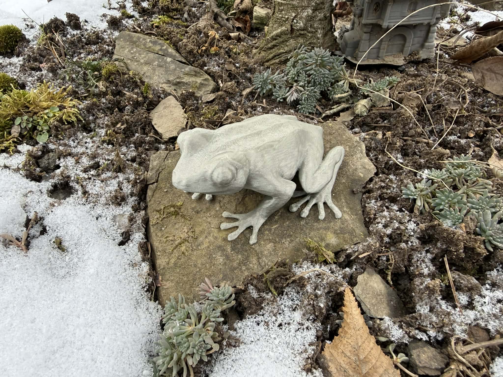 Realistic sitting frog