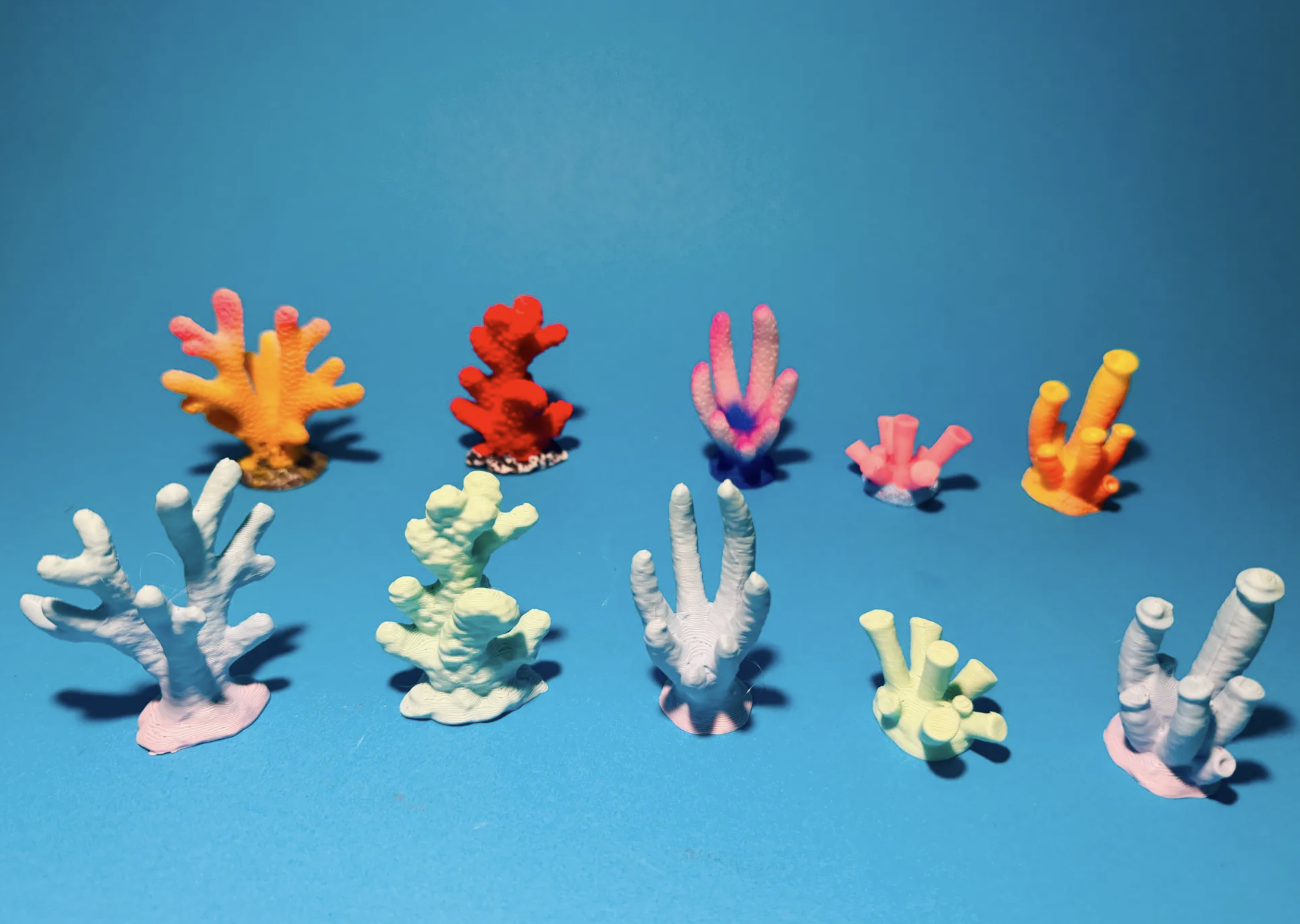 Aquarium Decor - scanned Corals Collection #02