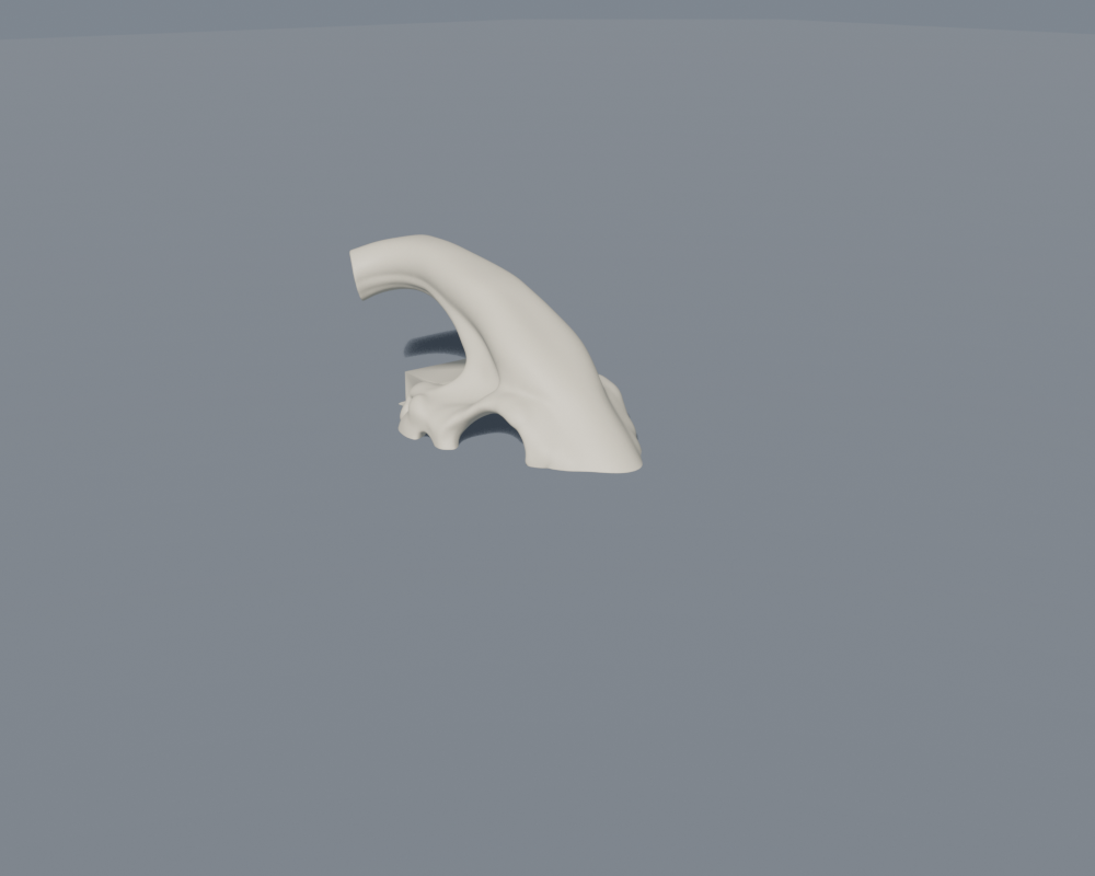 Parasaurolophus Skull Capsule — clamshell trinket / pill box