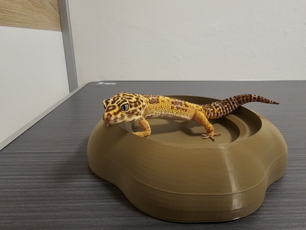 Reptile-Safe Organic Water Bowl - 3D Print Ready.