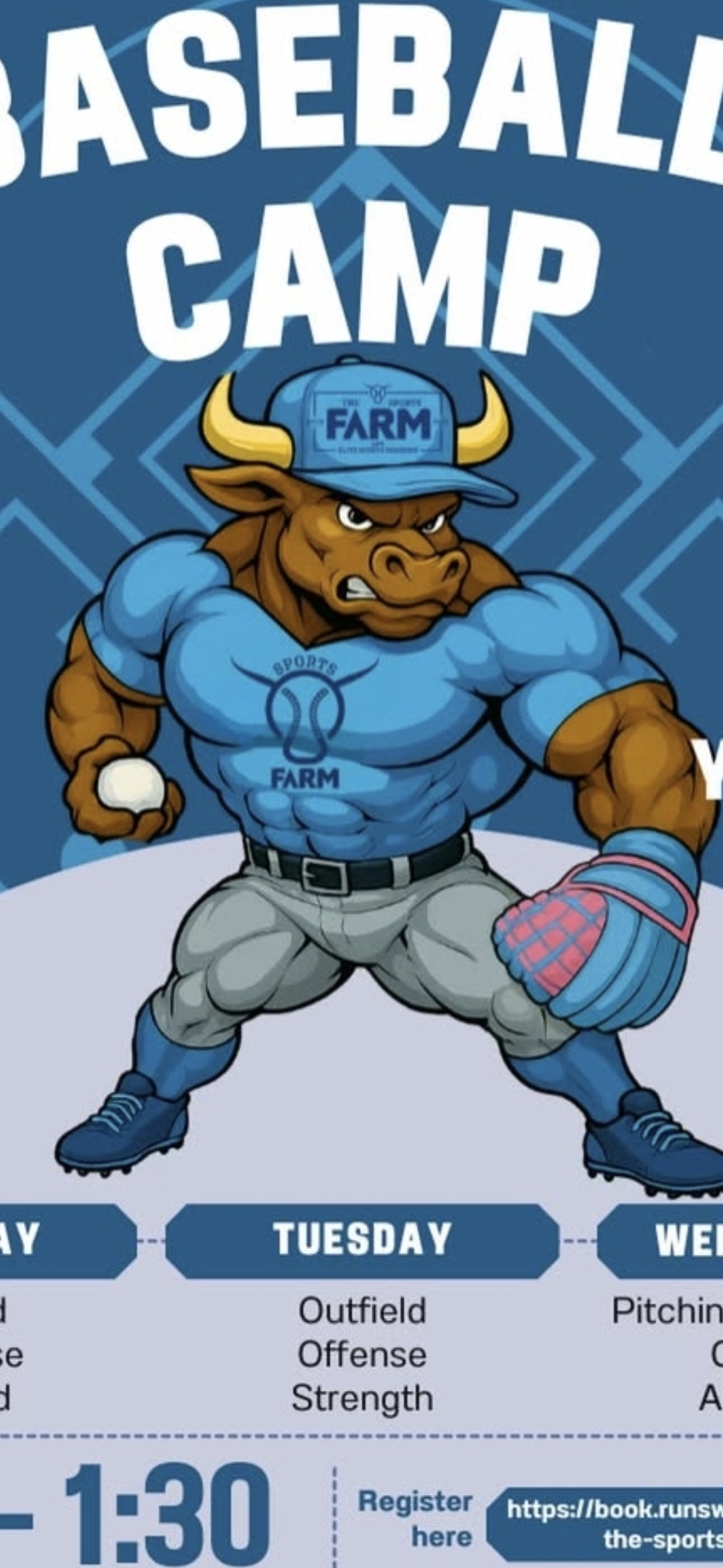 BullBaseball