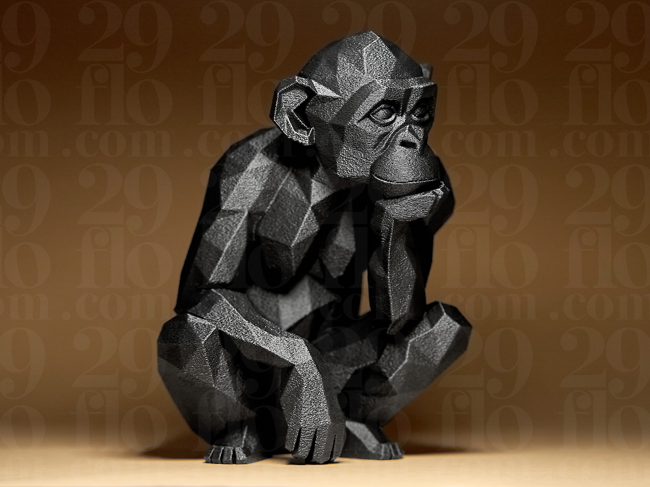 Geometric Monkey