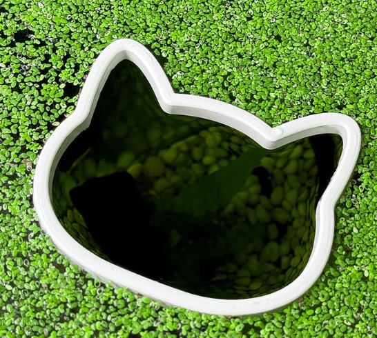 Aquarium Floating Plant Ring Portal