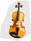 violin
