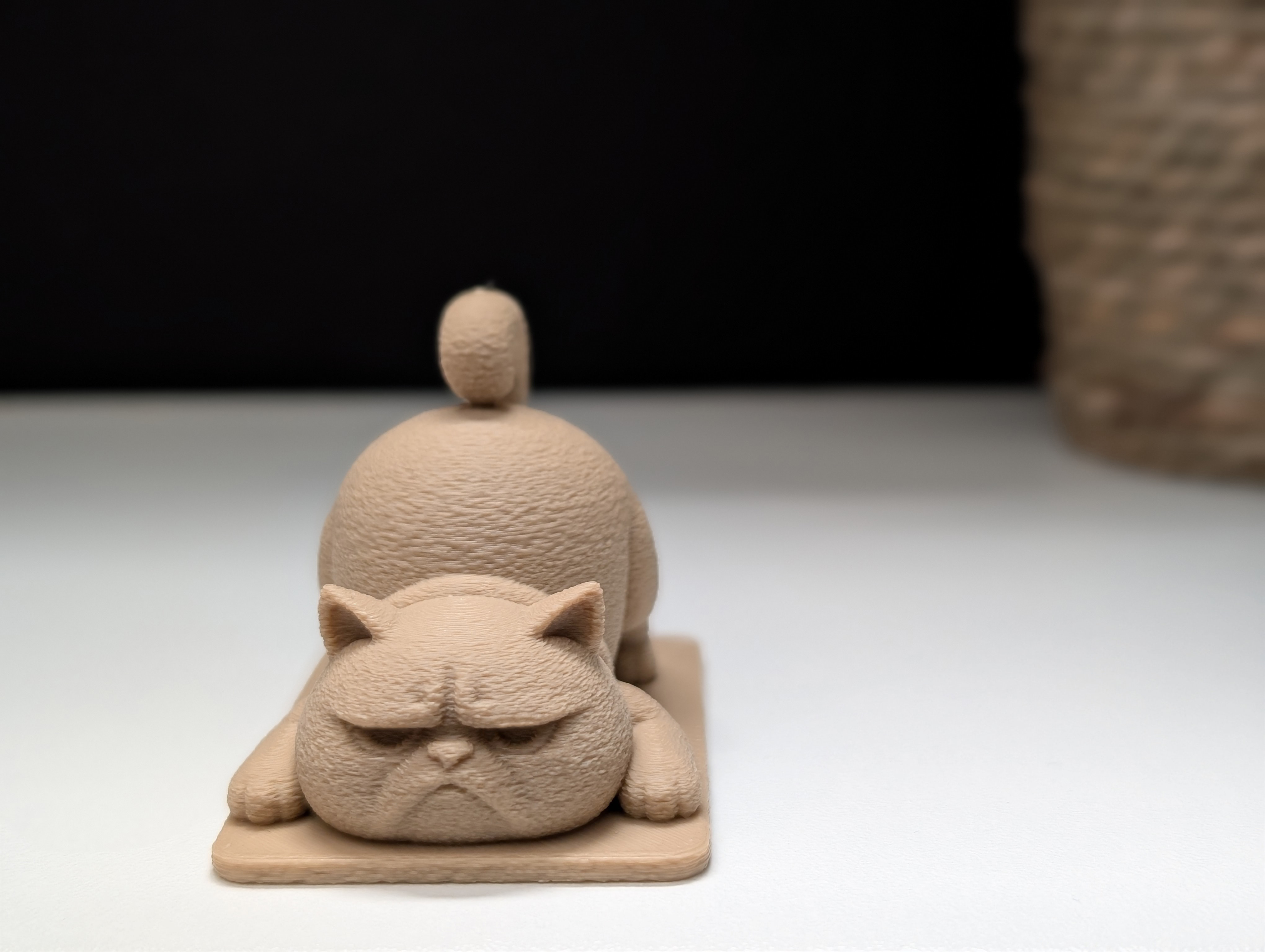 Miniatura 3 do modelo 3D Grumpy Cat Does Yoga