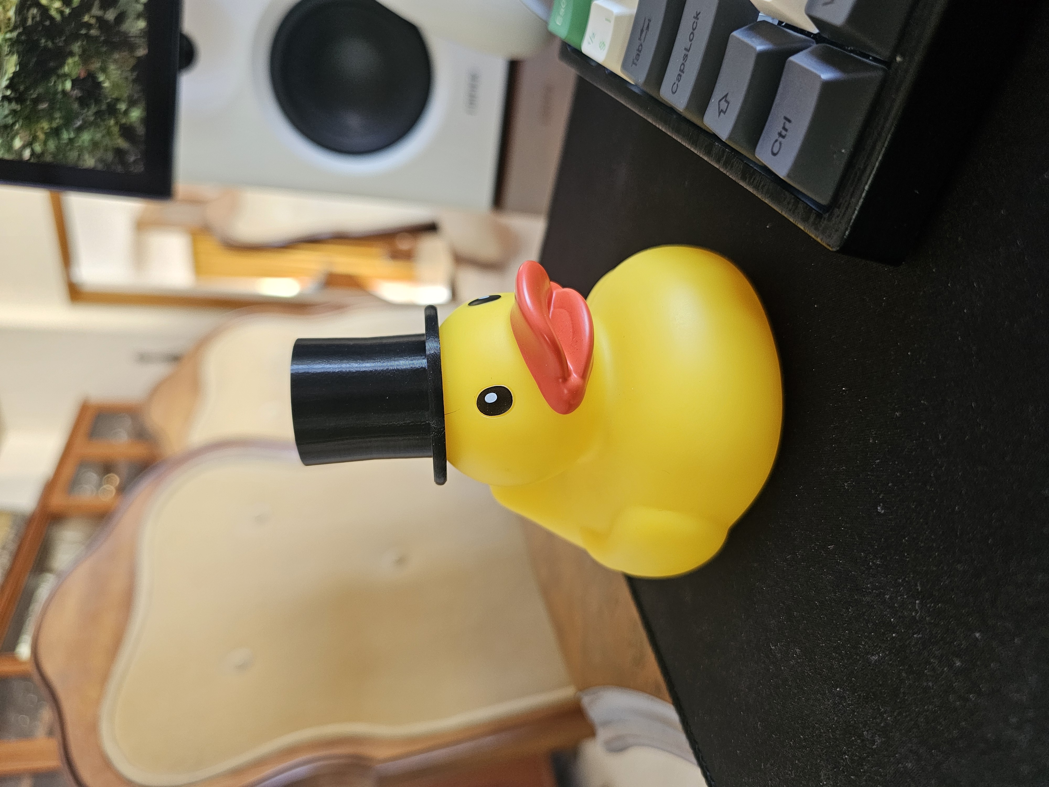 Duck Top Hat